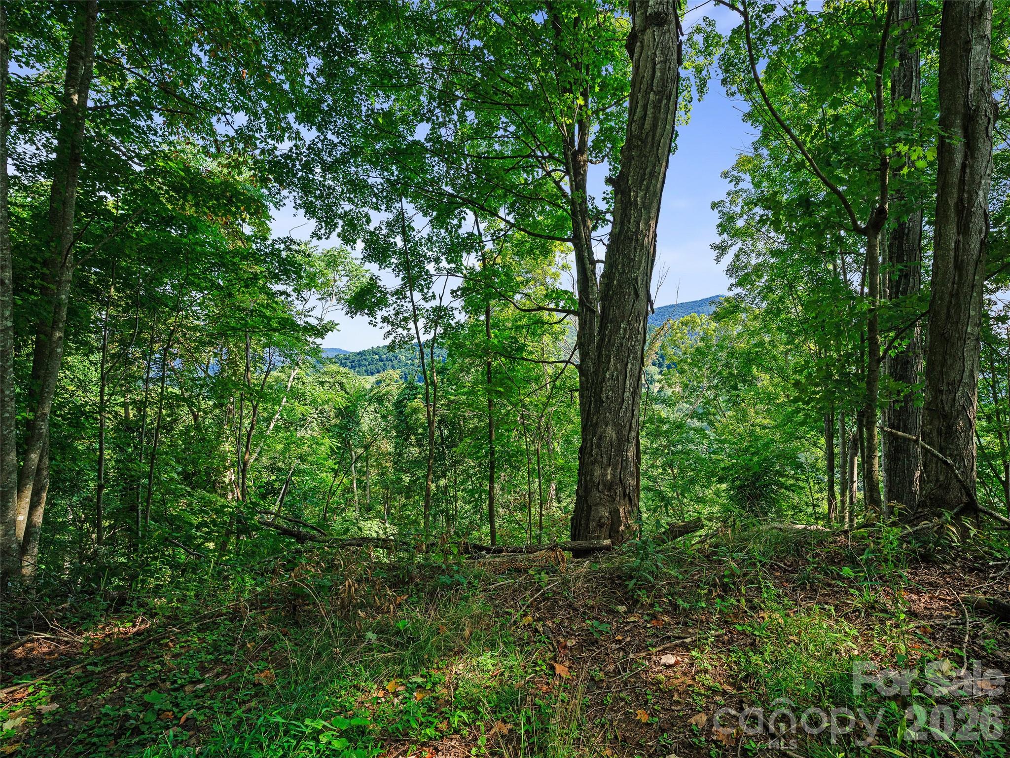Lot #63-65 Bear Ridge Road Property Photo 31