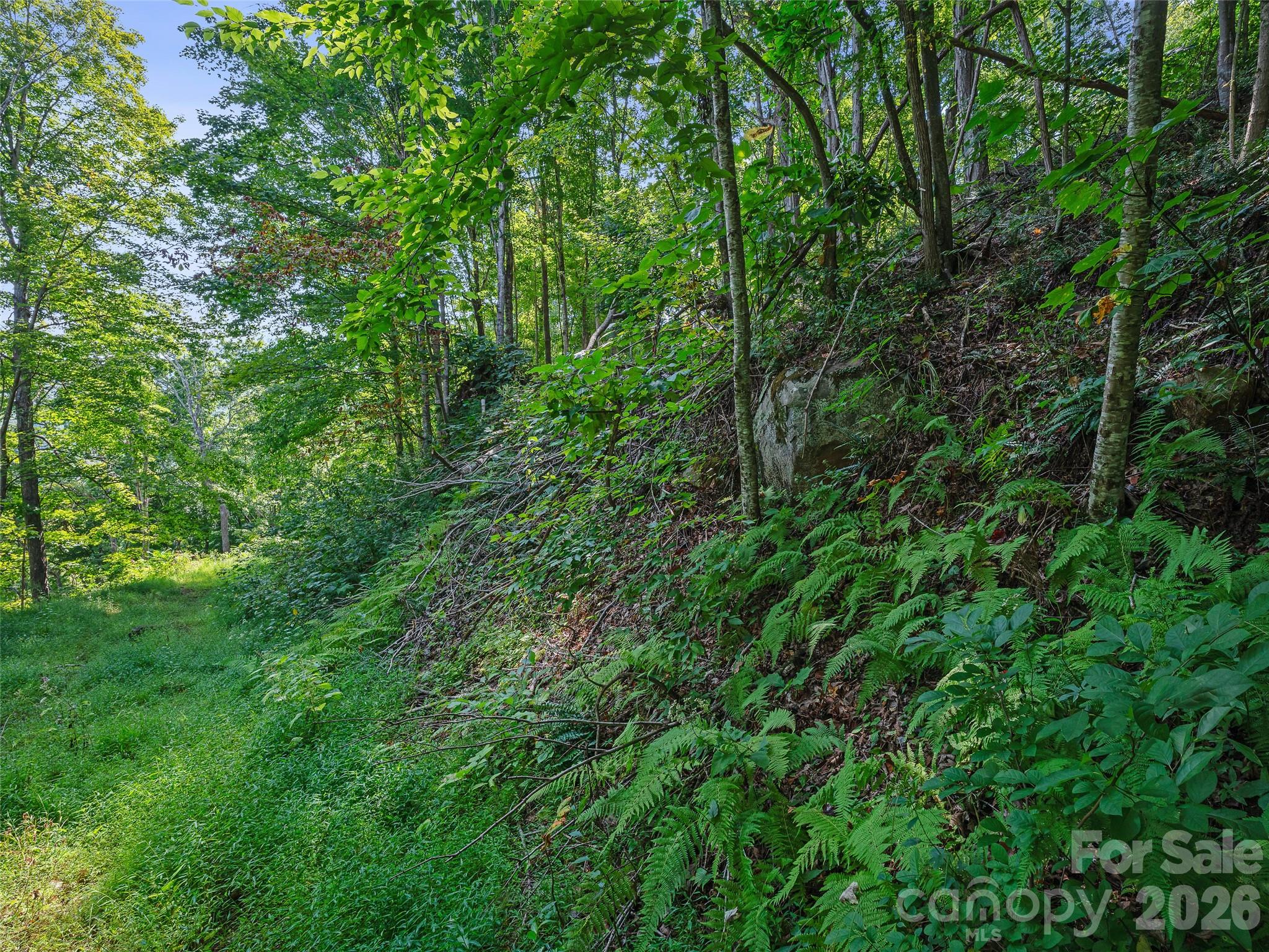 Lot #63-65 Bear Ridge Road Property Photo 32