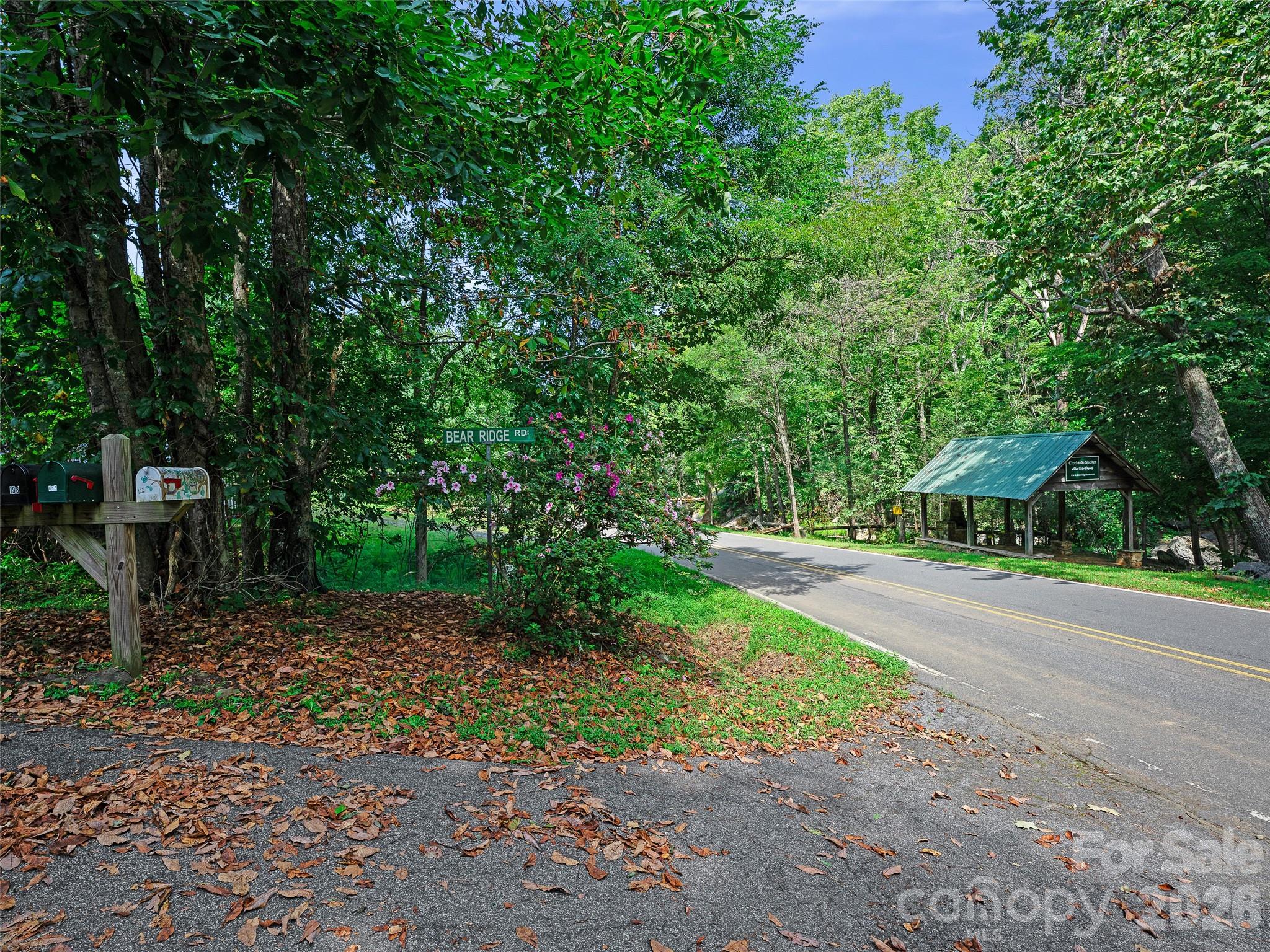 Lot #63-65 Bear Ridge Road Property Photo 37