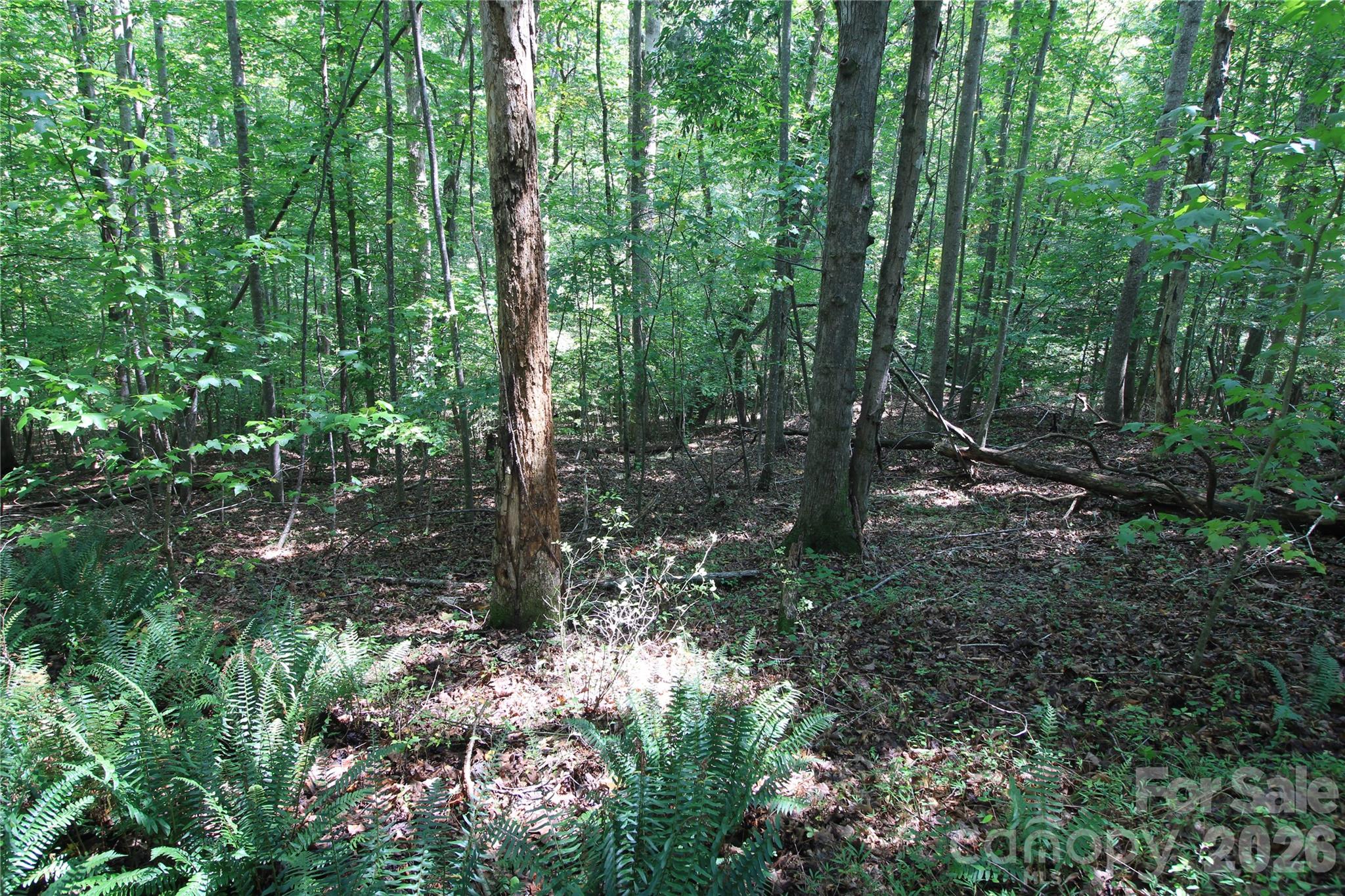 00 Webster Road Property Photo 5