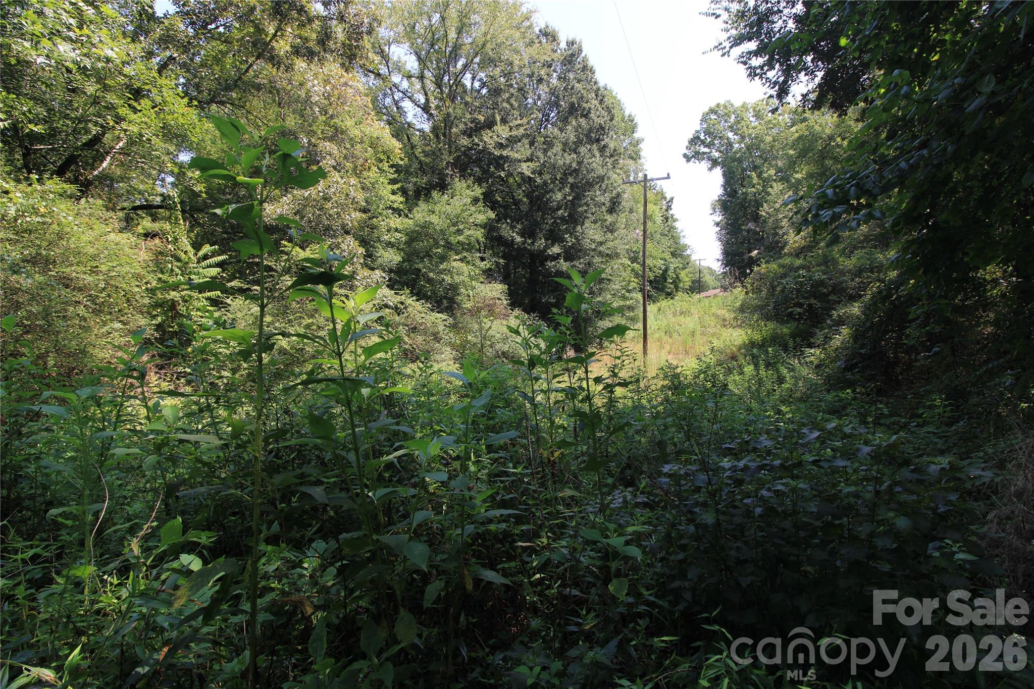 00 Webster Road Property Photo 7