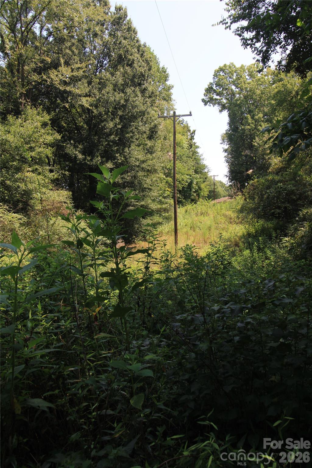 00 Webster Road Property Photo 8