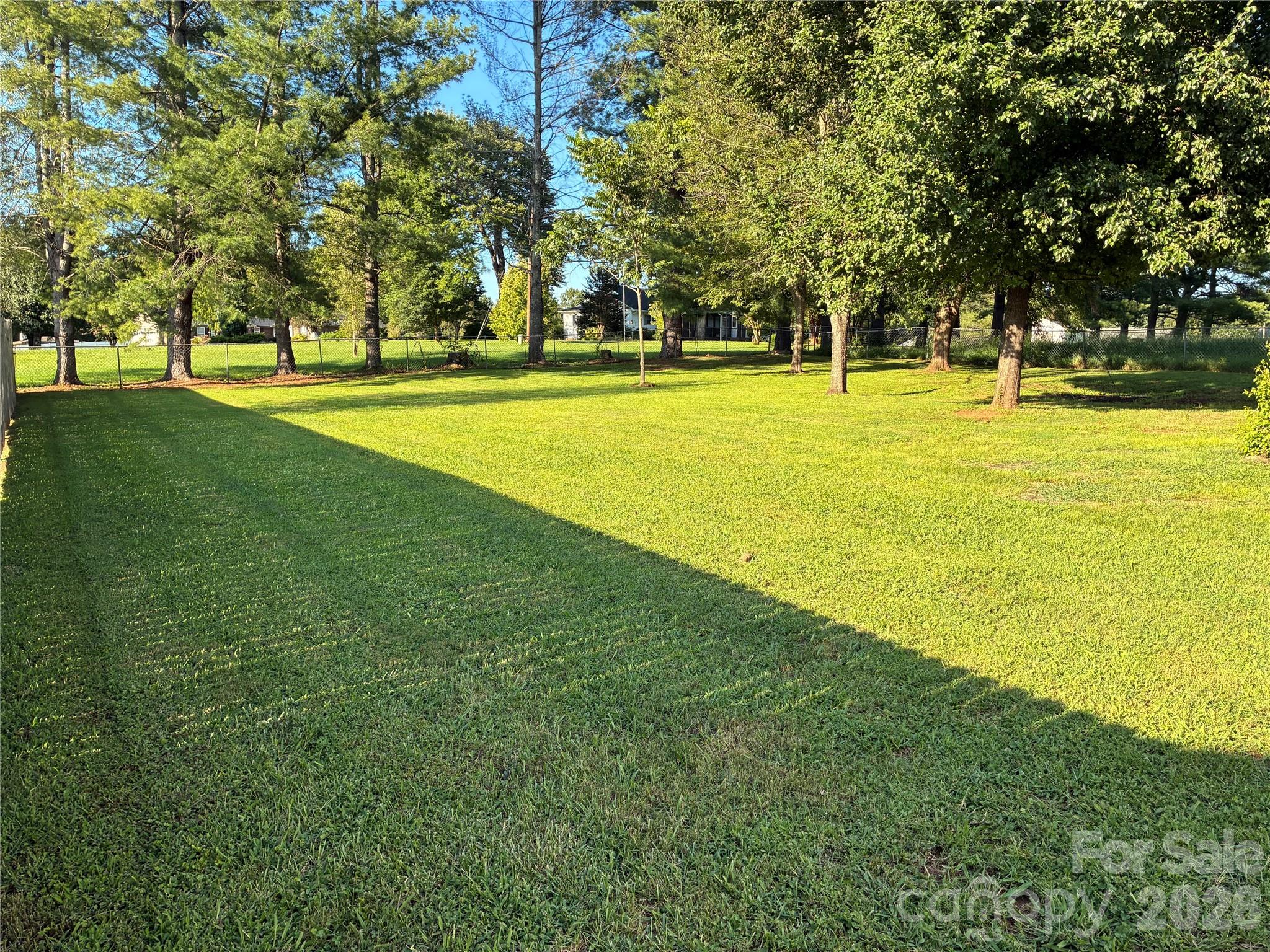 1008 Hopedale Drive Property Photo 6