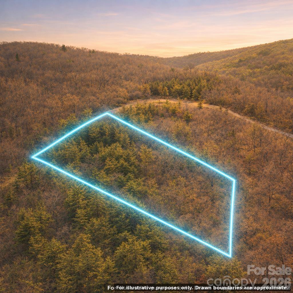 Lot 57 & Lot 58 Ridge Tops Of Hawks Nest Drive Property Photo 4