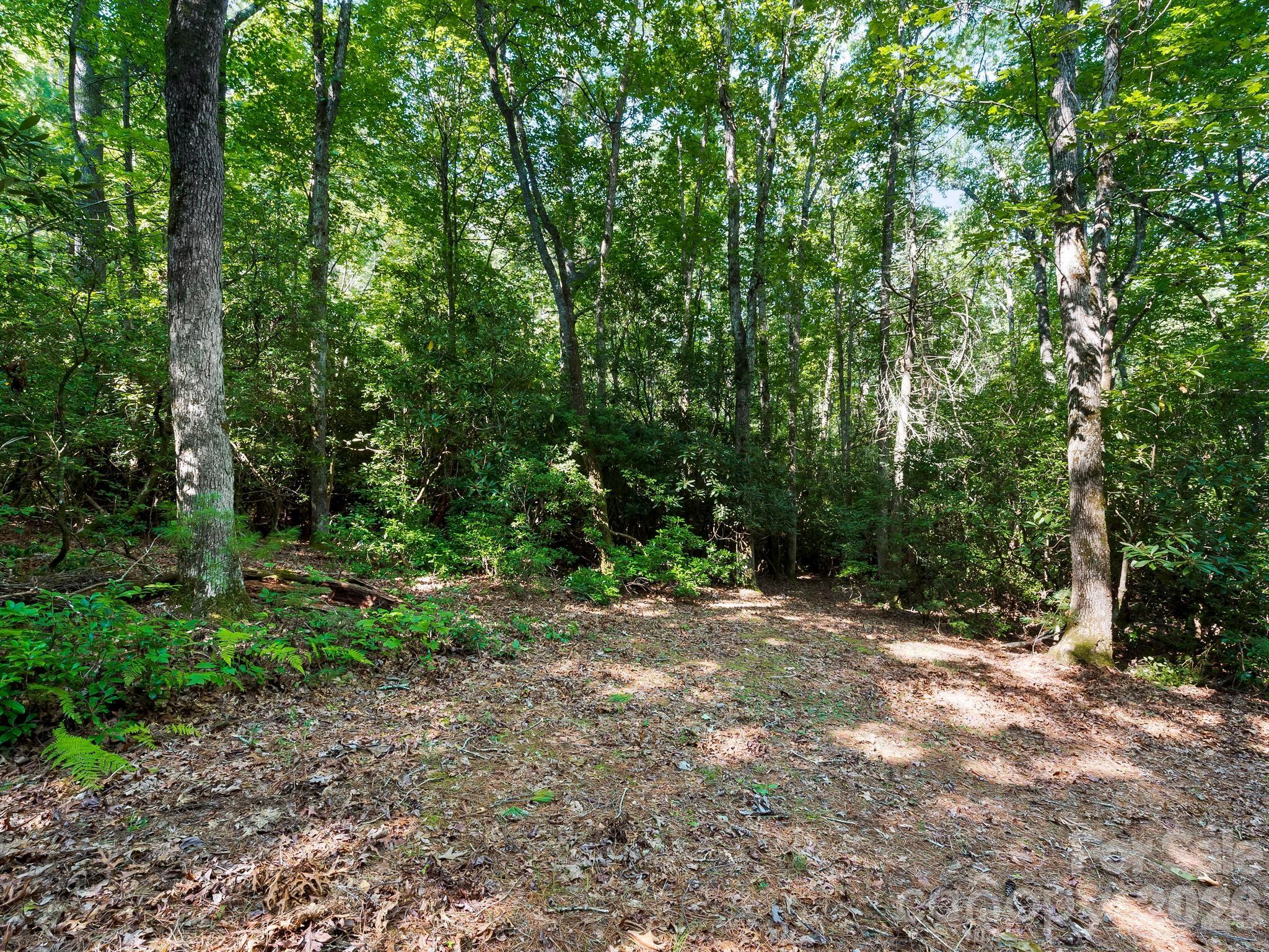 309 Flying Cloud Lane 17 Property Photo 7