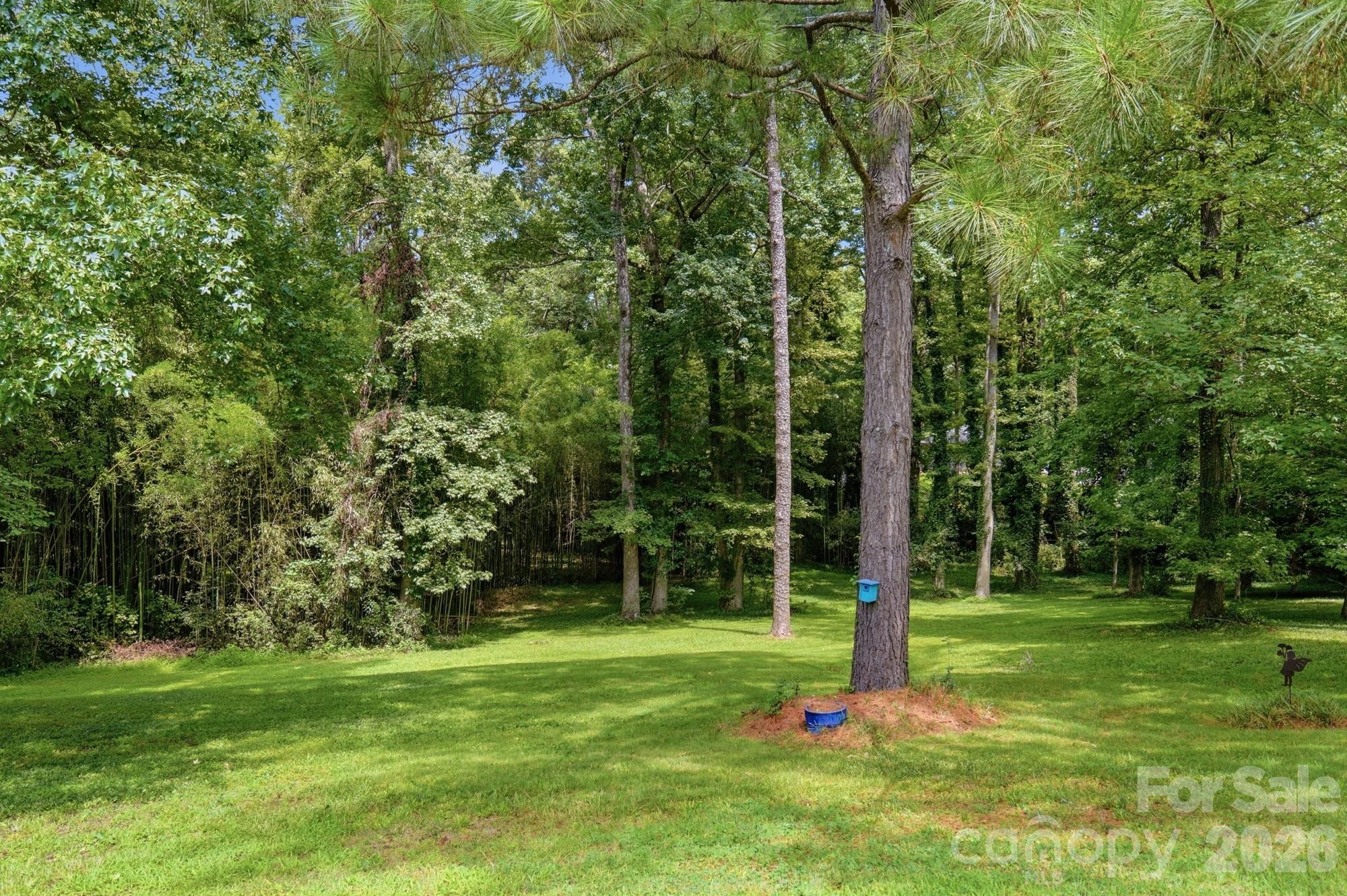 800 Jefferson Drive Property Photo 46