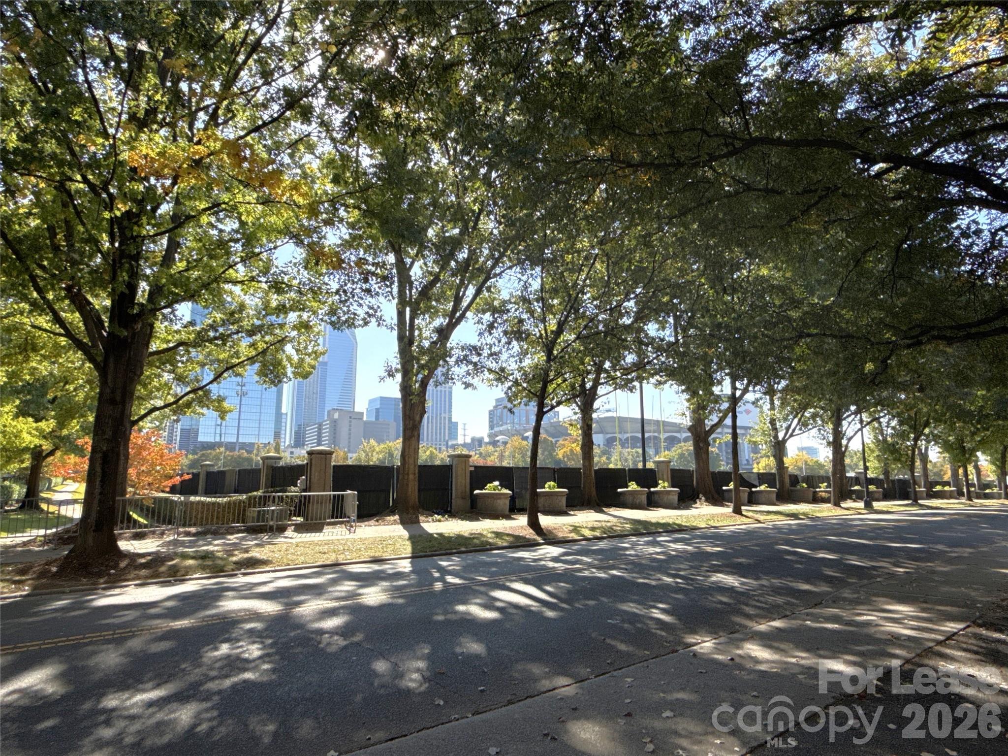 300 S Cedar Street 3 Property Photo 10