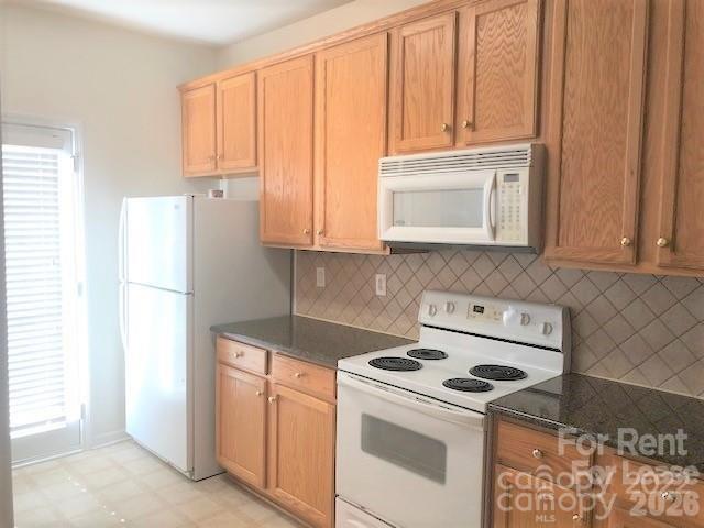 1307 Smokey Quartz Lane Property Photo 3