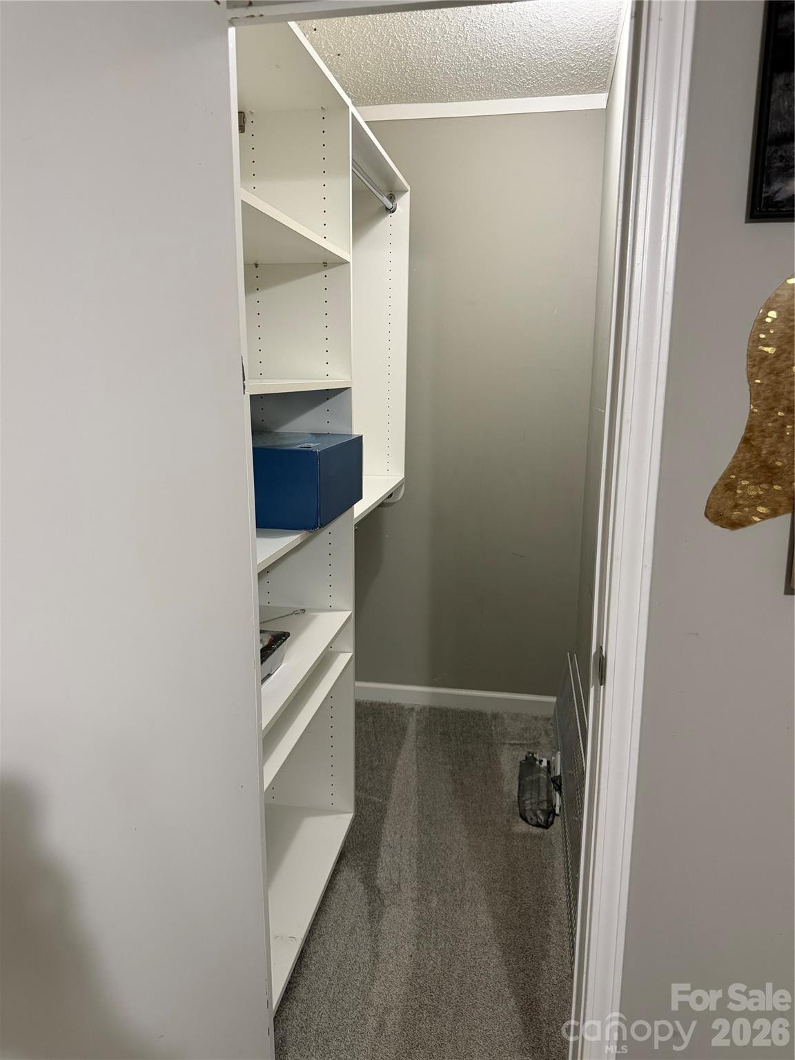 26434 Wayne Drive Property Photo 19