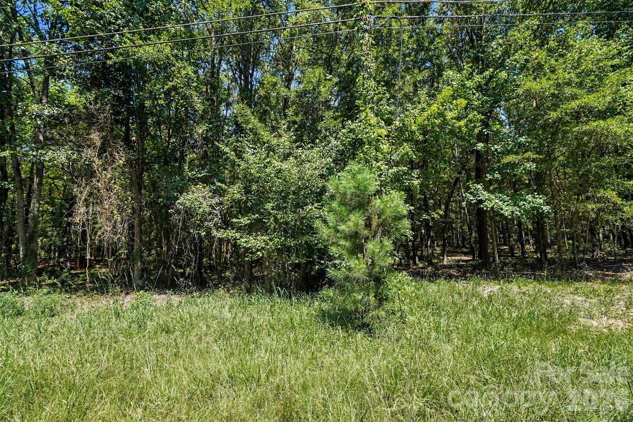 0 White Store Road Property Photo 4