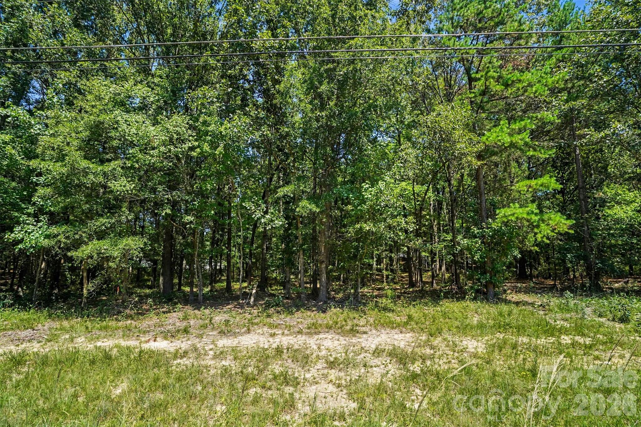 0 White Store Road Property Photo 12