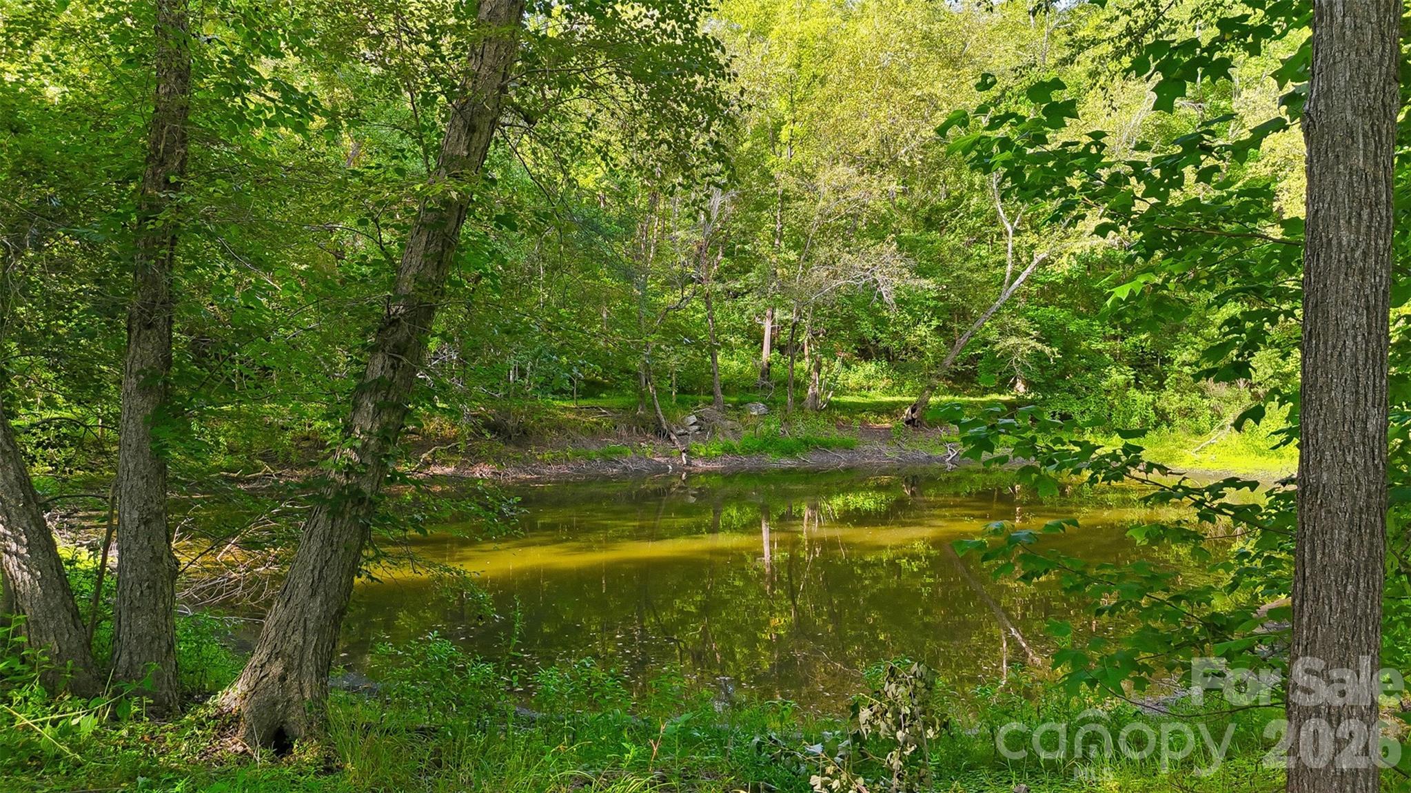 2386 Liledoun Road Property Photo 46