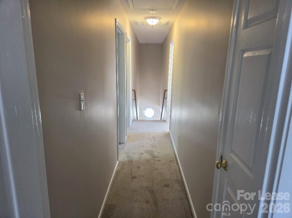 5325 Timbertop Lane Property Photo 17