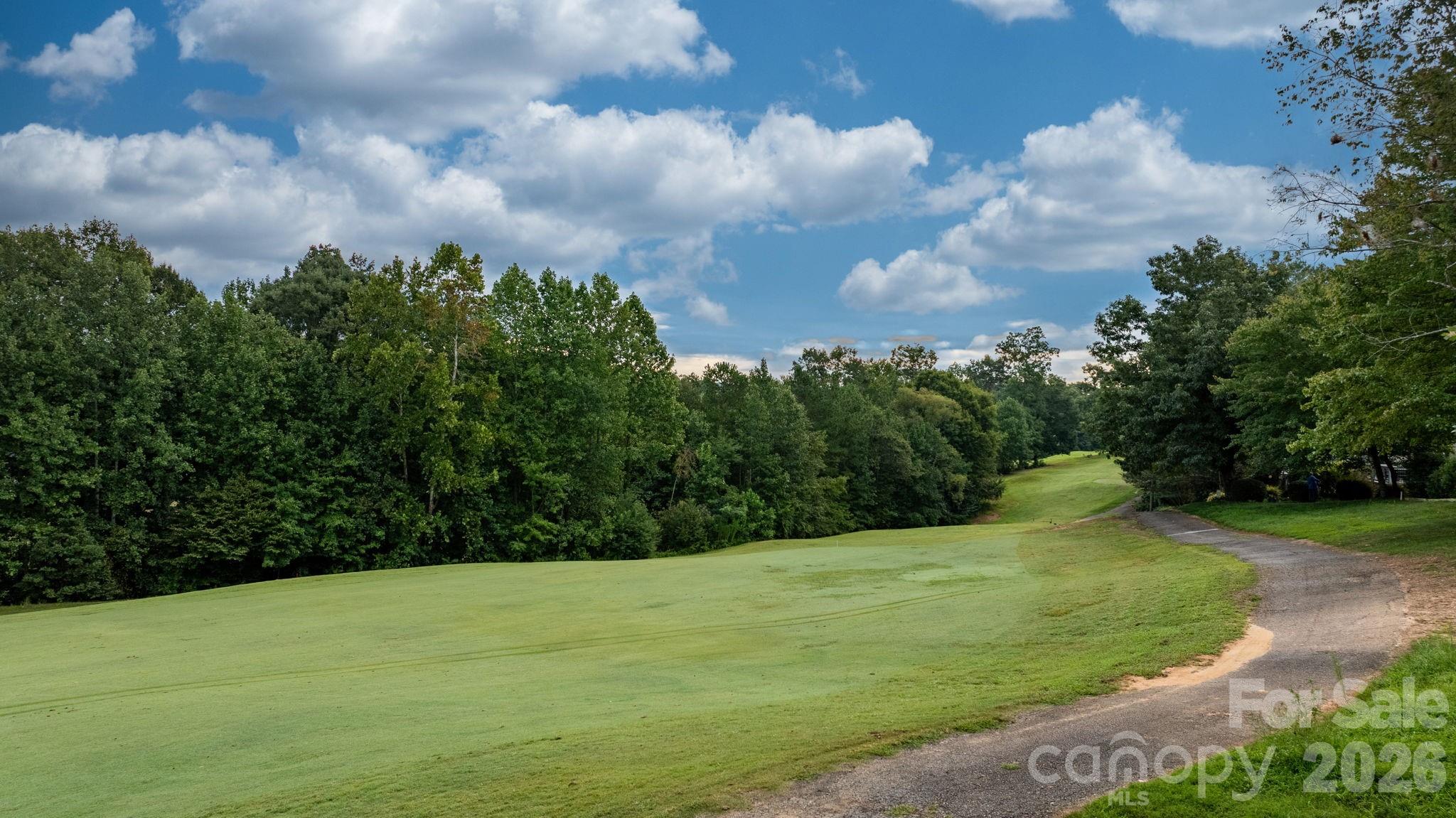 1116 Players Ridge Road Property Photo 39