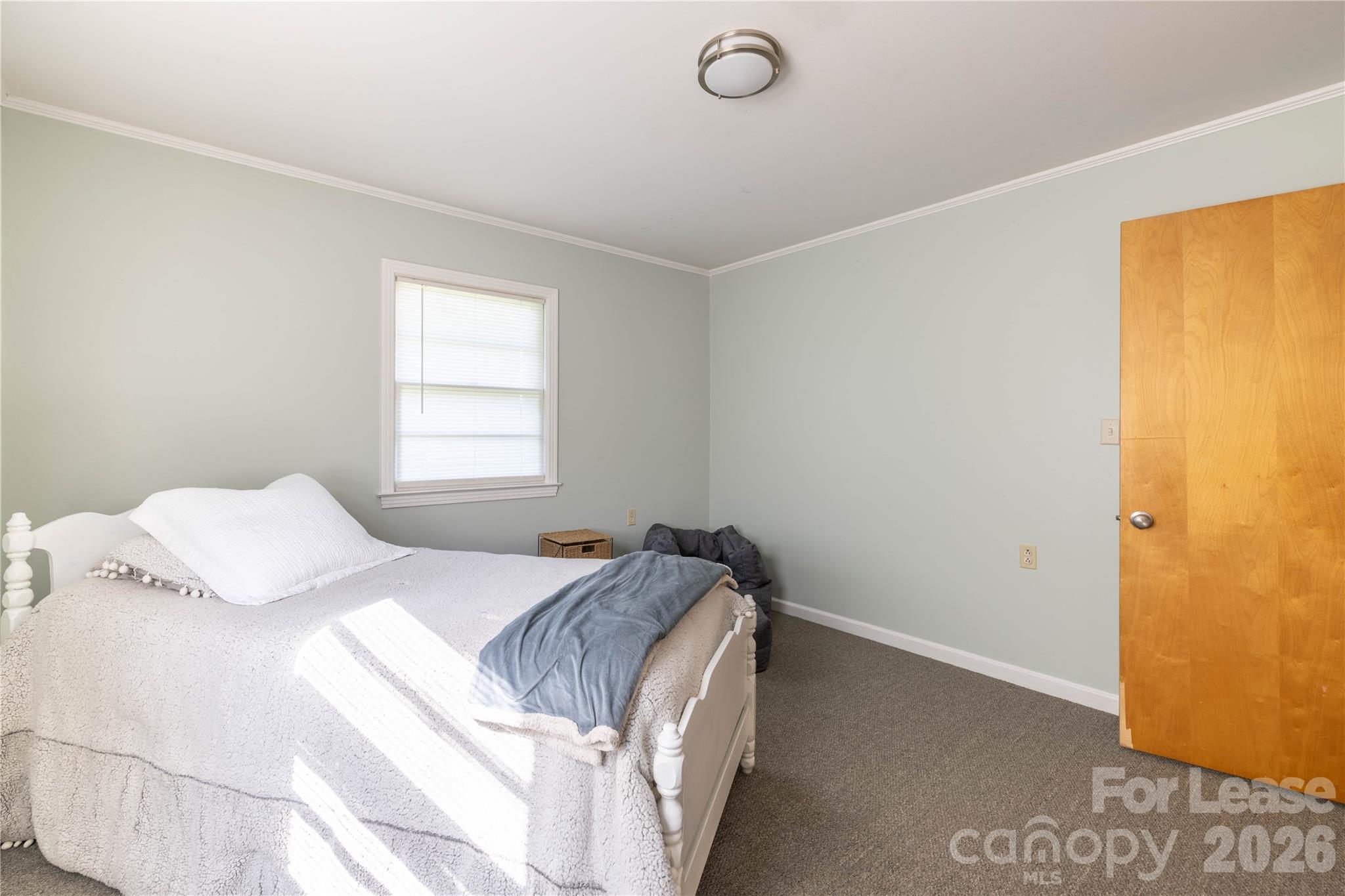 34 Willow Street Property Photo 19