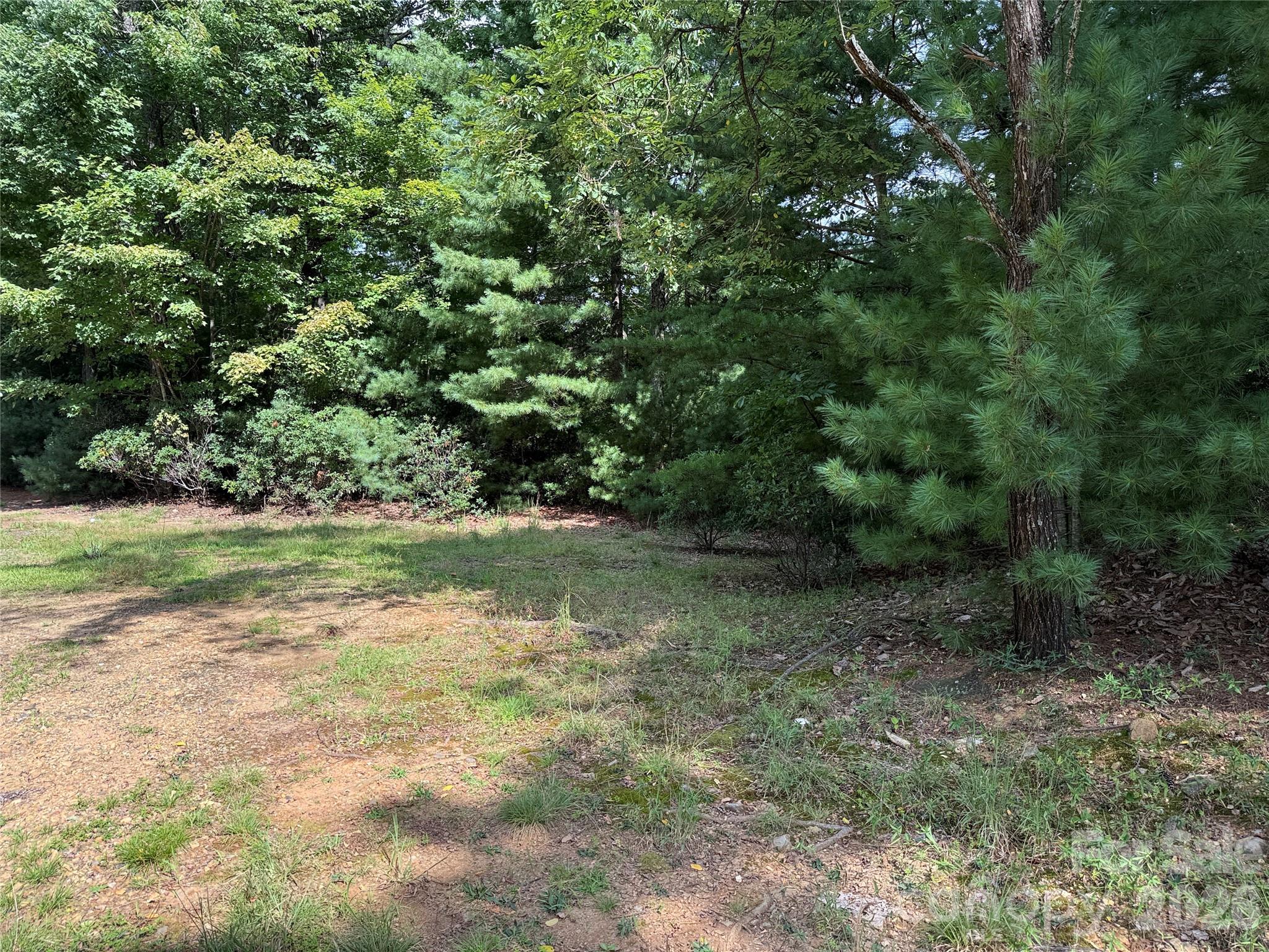 TBD Rich Pine Drive 119