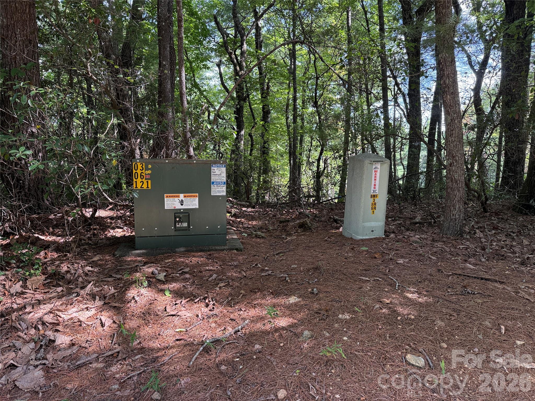 Tbd Rich Pine Drive 119 Property Photo 2