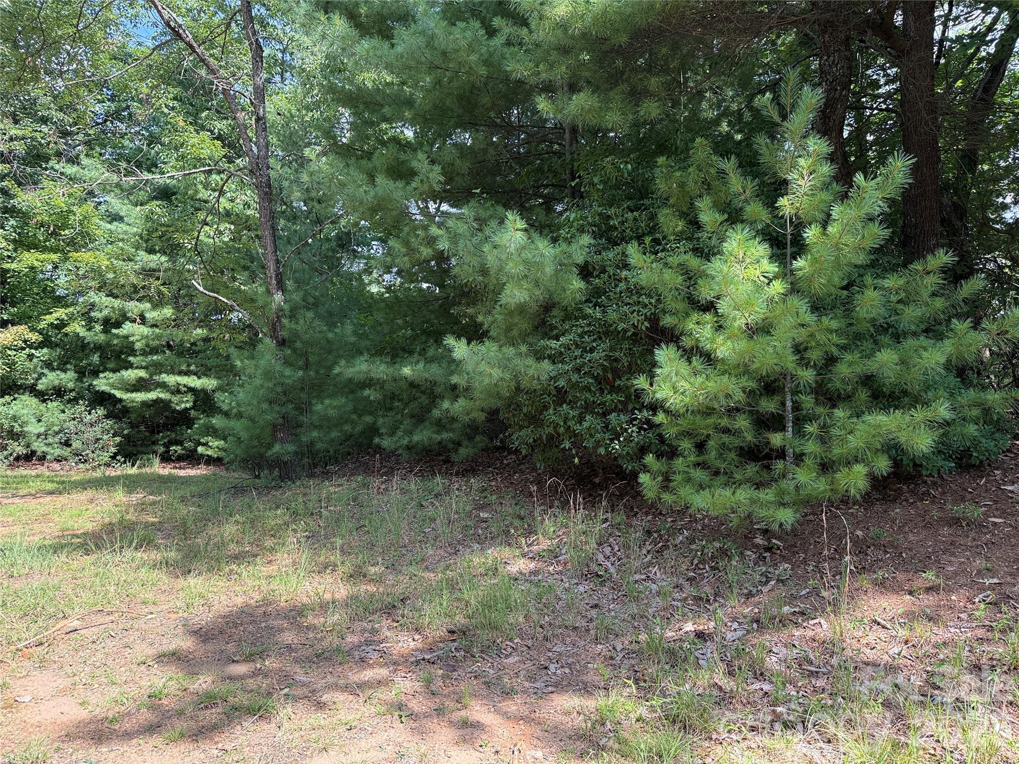 Tbd Rich Pine Drive 119 Property Photo 8