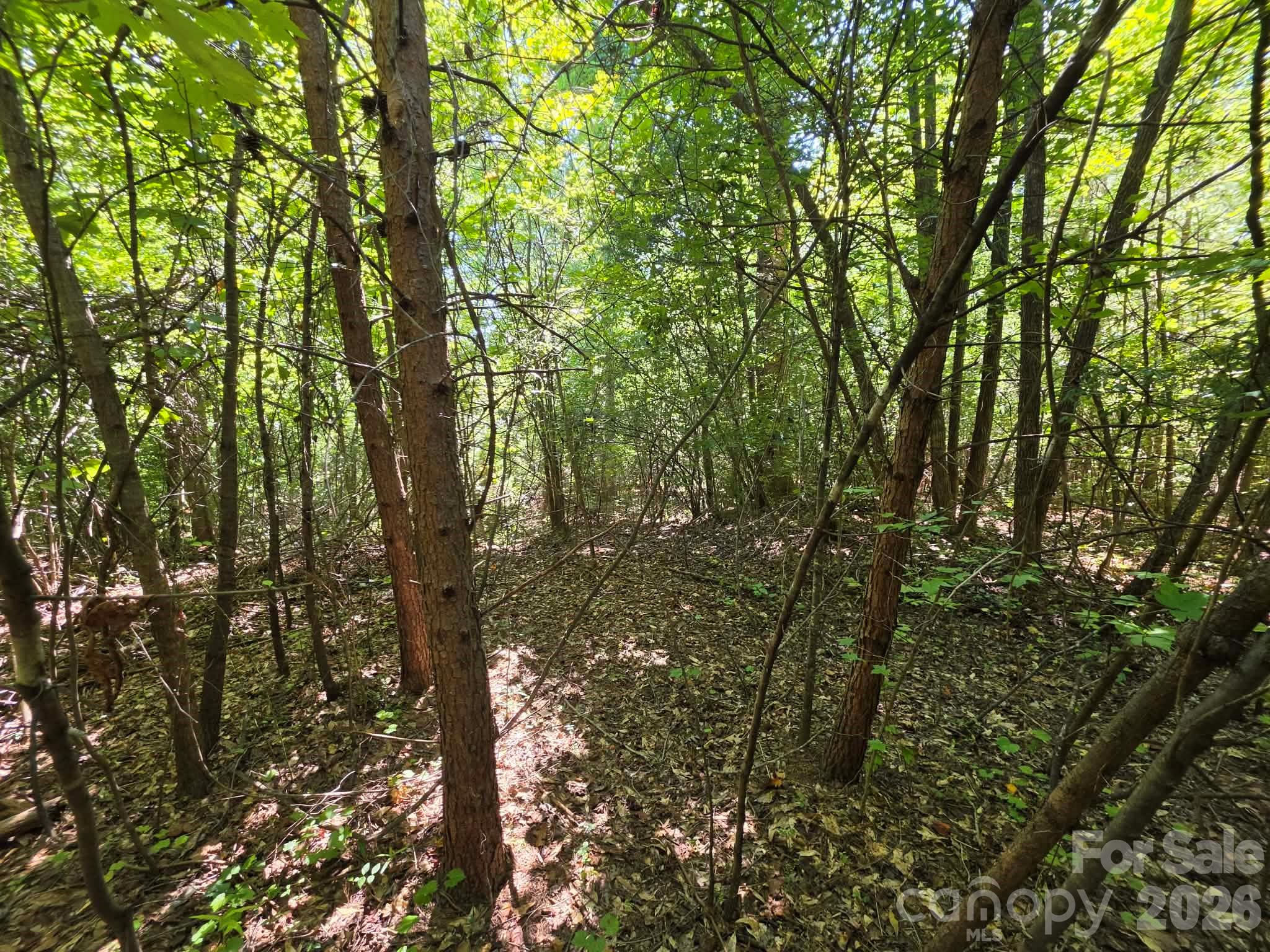 Tbd Pinkwood Drive Property Photo 9