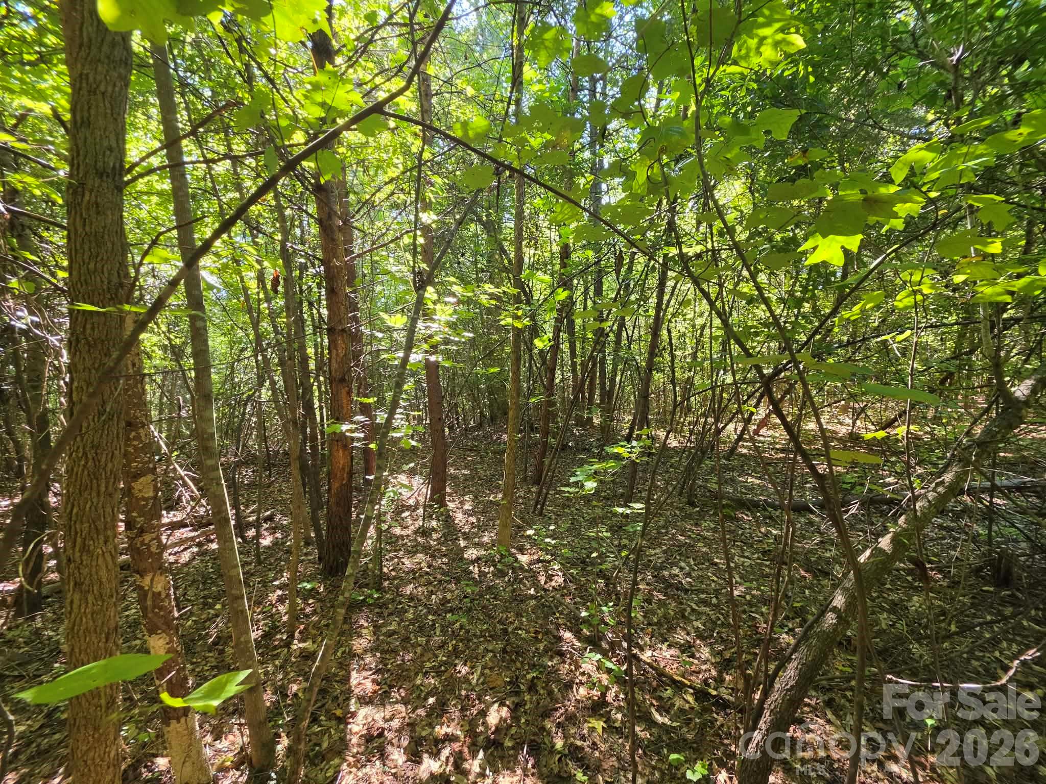 Tbd Pinkwood Drive Property Photo 10