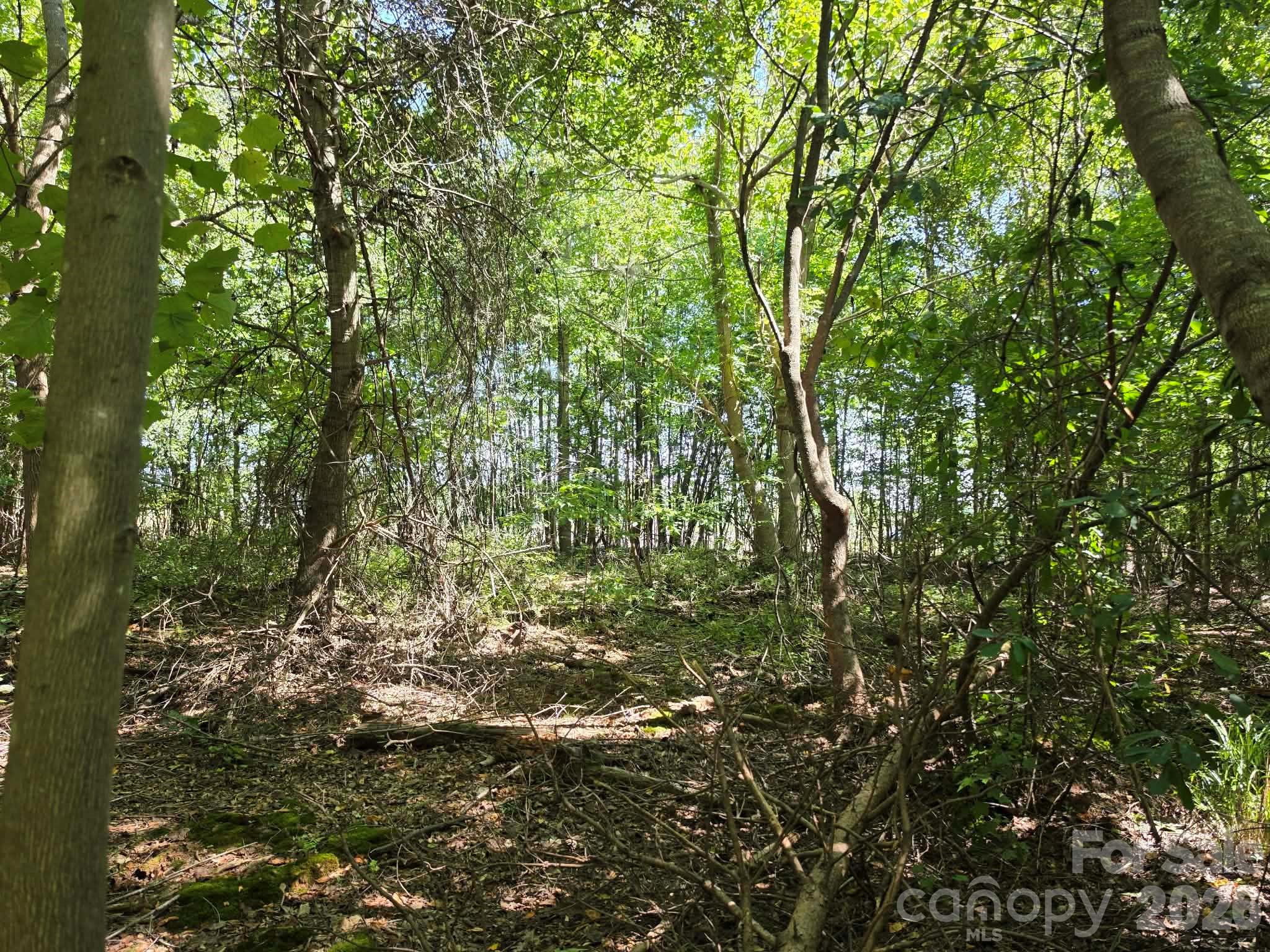 Tbd Pinkwood Drive Property Photo 13