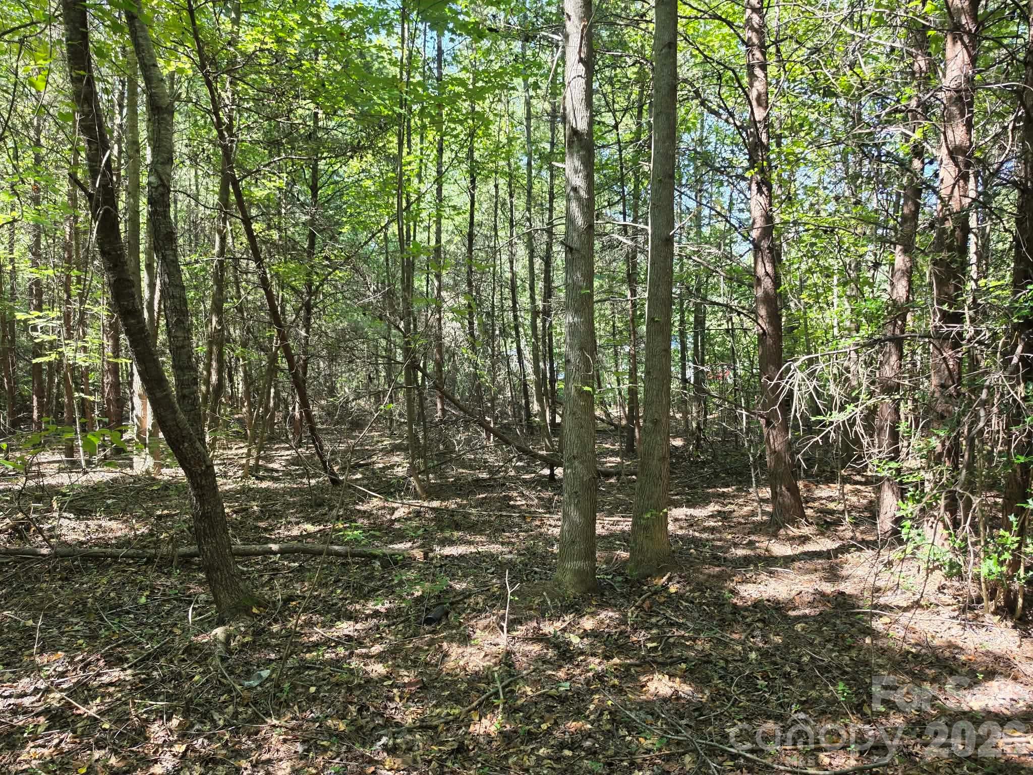 Tbd Pinkwood Drive Property Photo 14