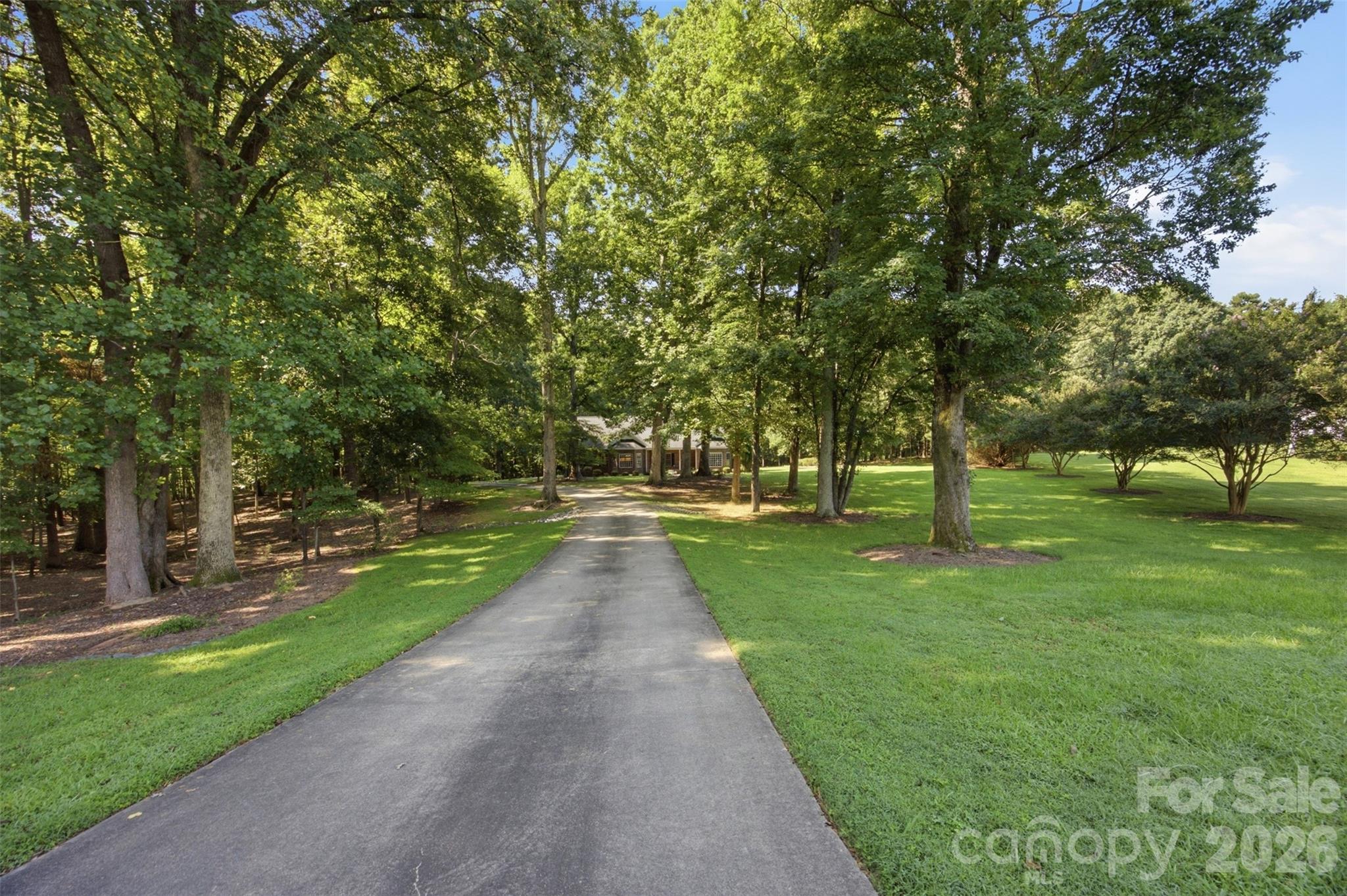 216 Minnie Queen Lane Property Photo 47