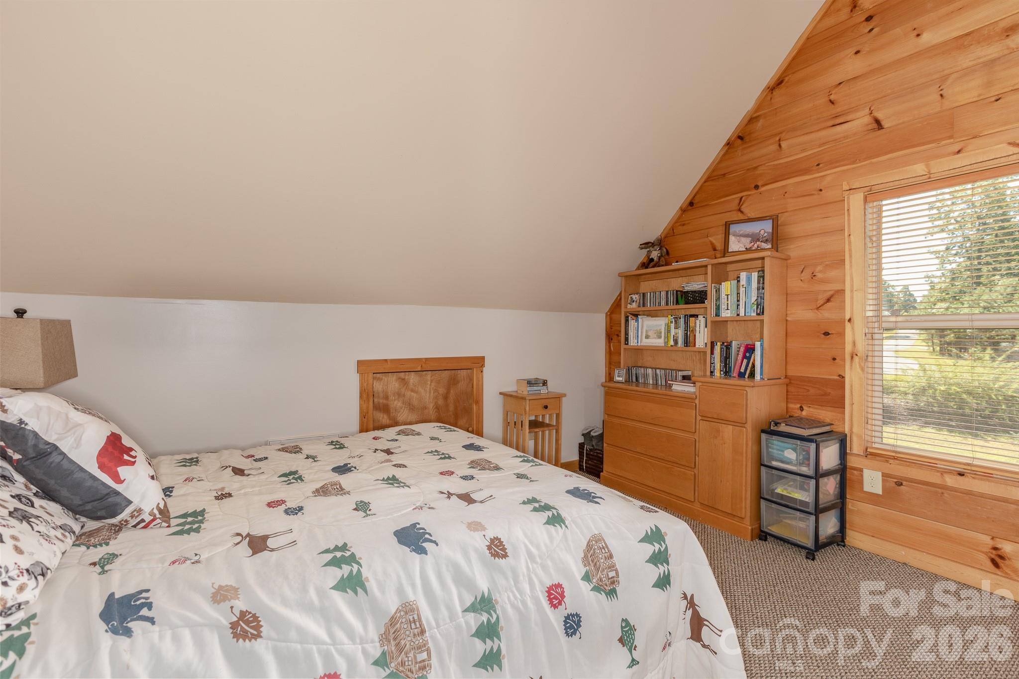 257 Adirondack Trail 180 Property Photo 19