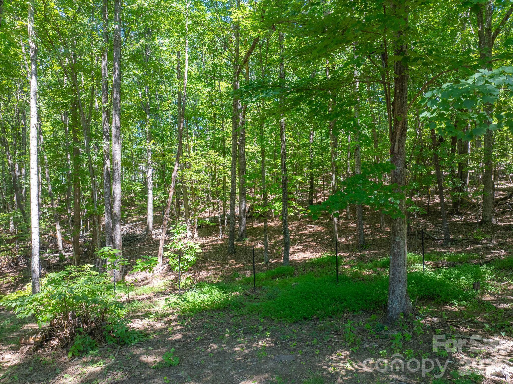 257 Adirondack Trail 180 Property Photo 39