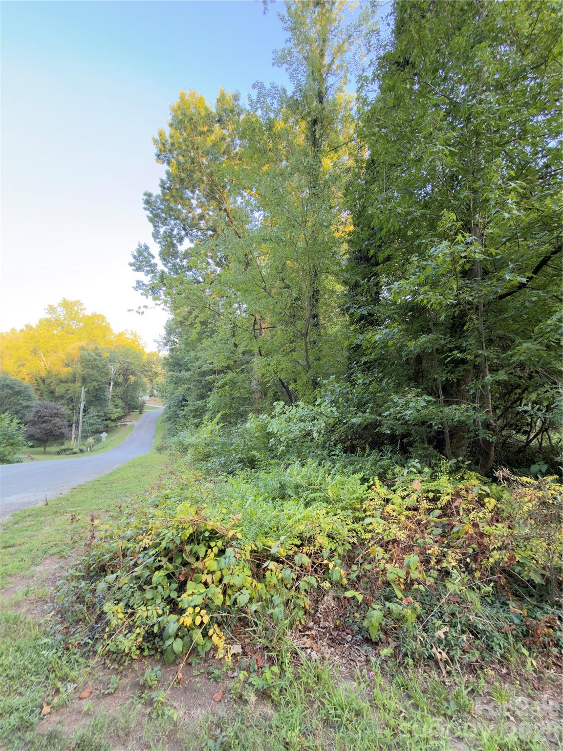 0 Bonanza Drive Property Photo 1
