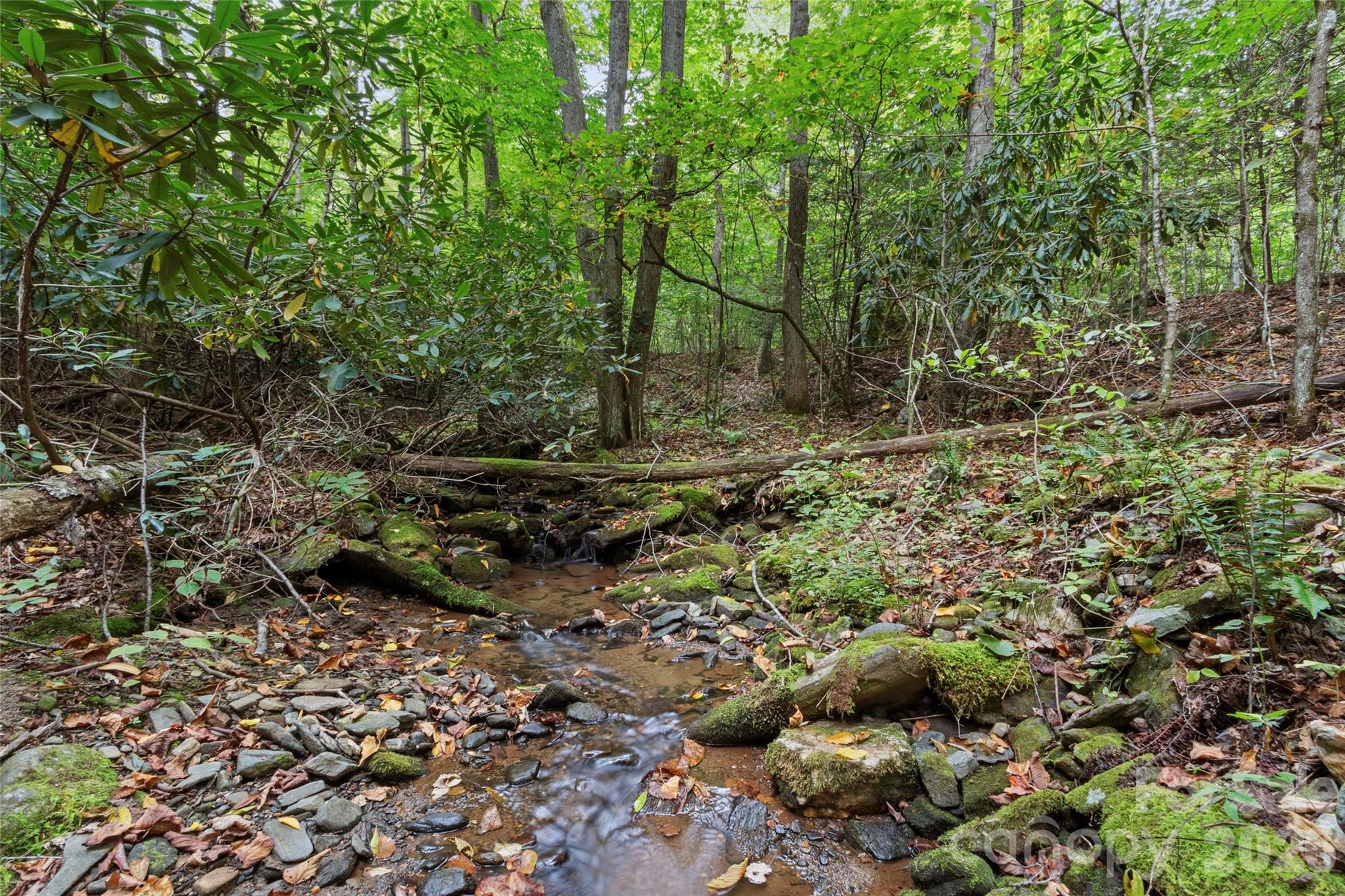 Tbd Pond Road Property Photo 2