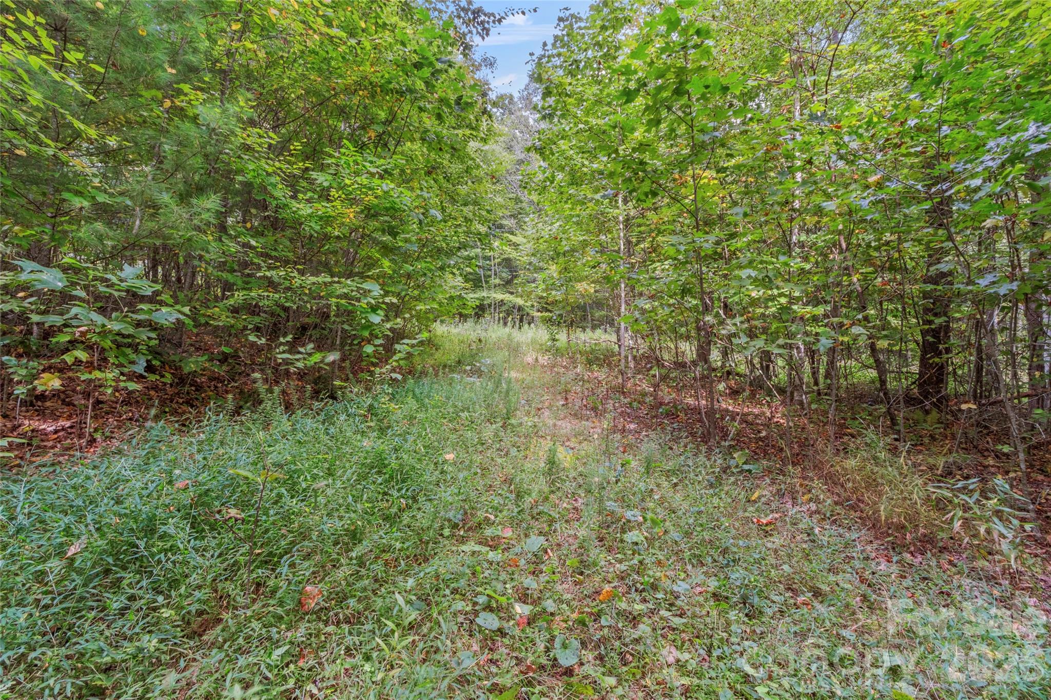 Tbd Pond Road Property Photo 3