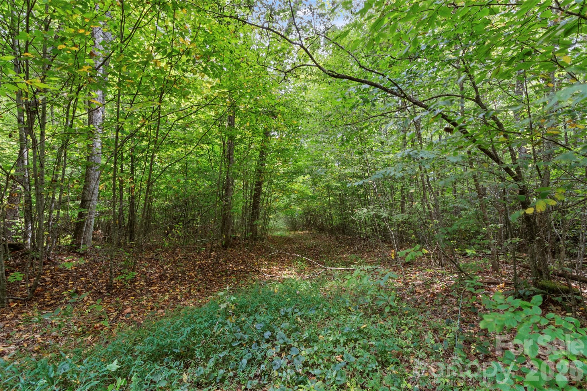 Tbd Pond Road Property Photo 5
