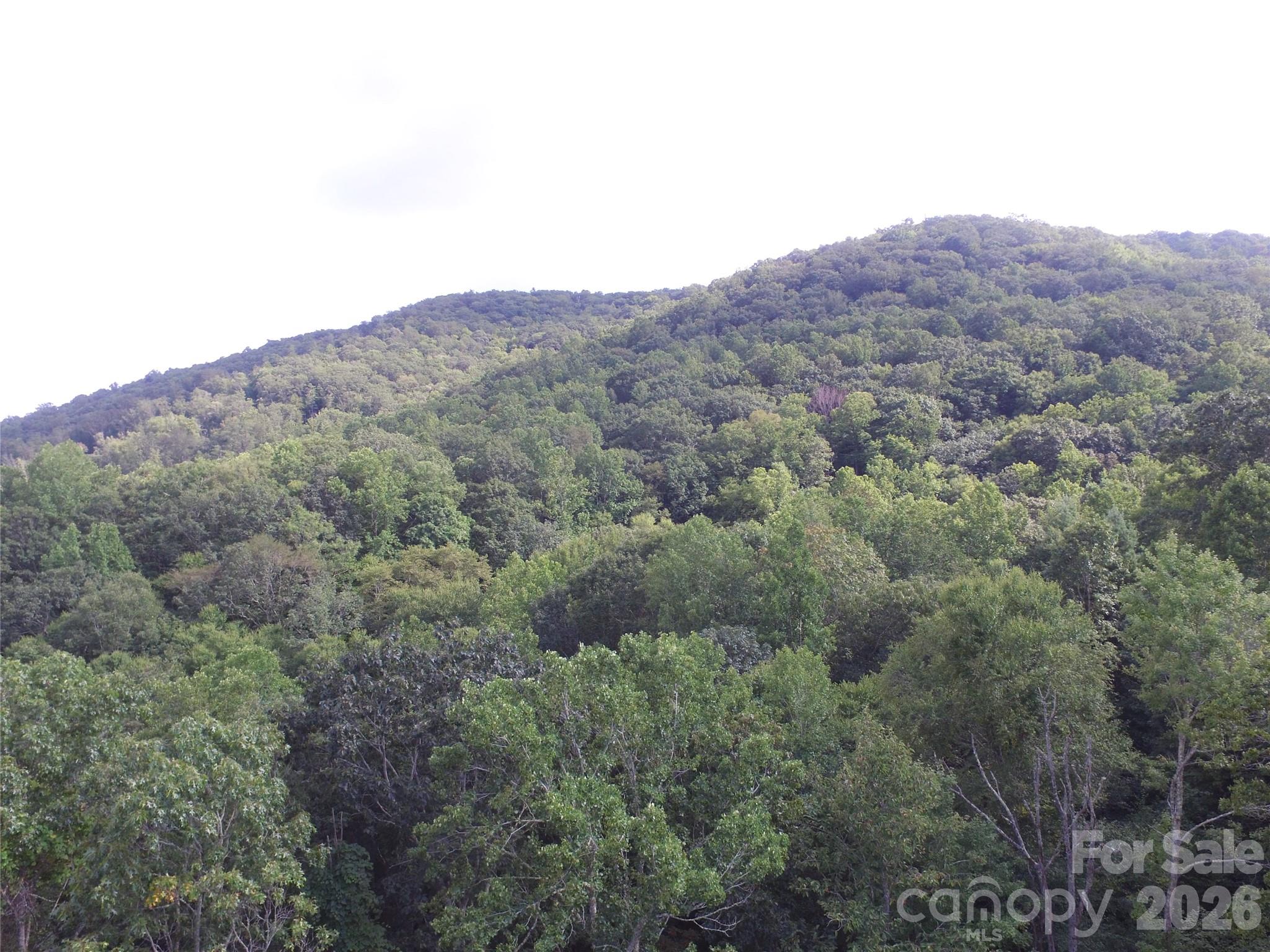 Tbd Pond Road Property Photo 7