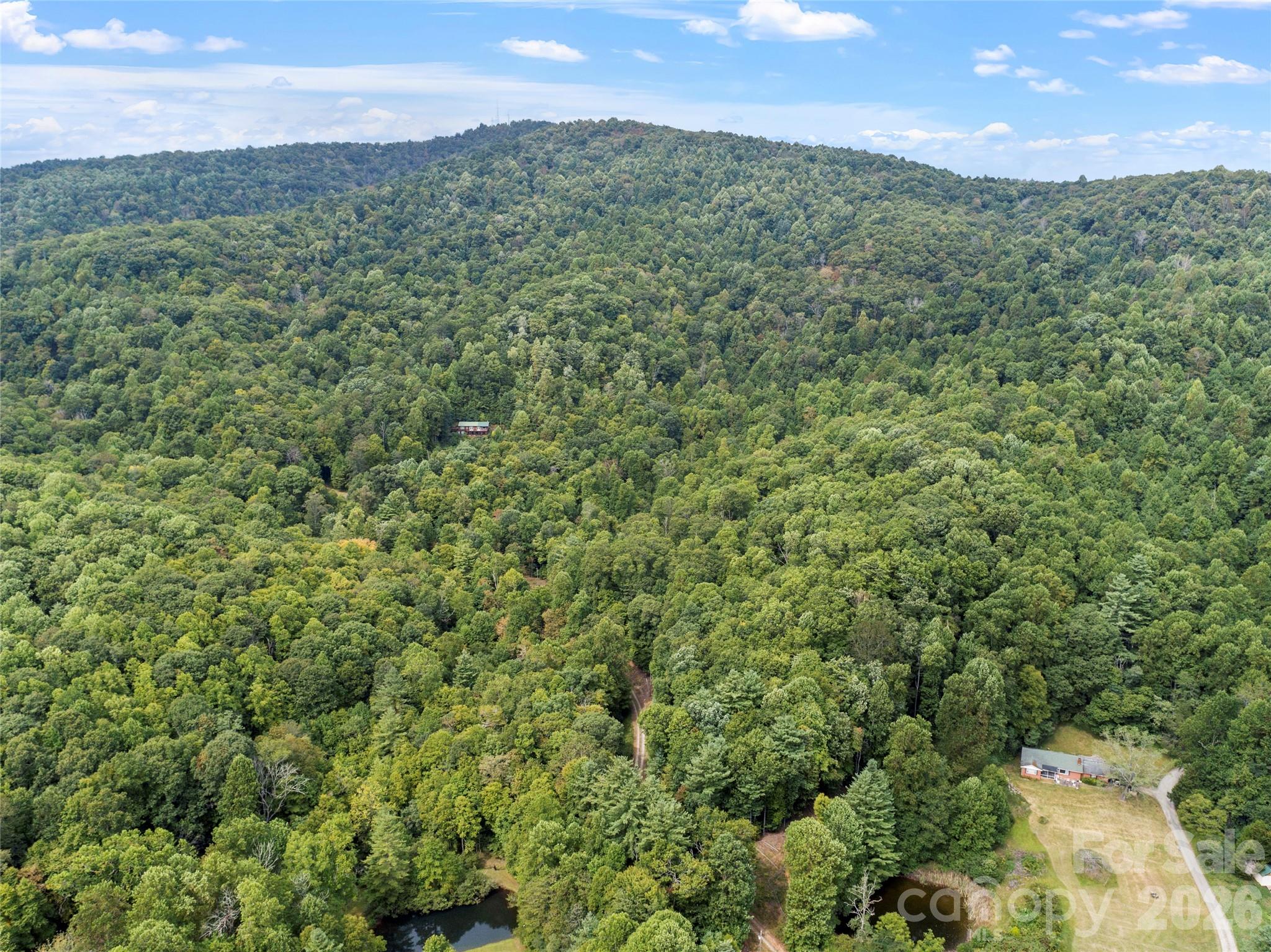 Tbd Pond Road Property Photo 9