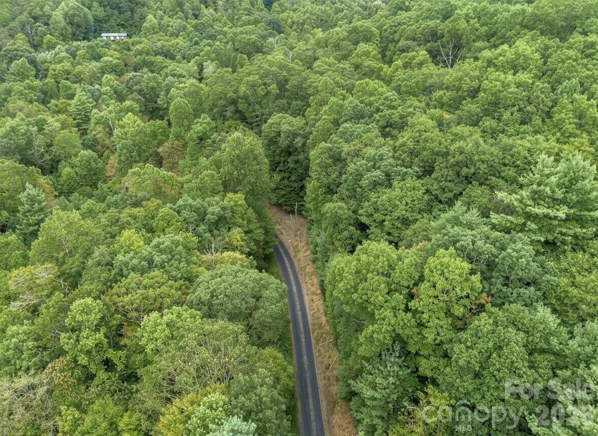 Tbd Pond Road Property Photo 11