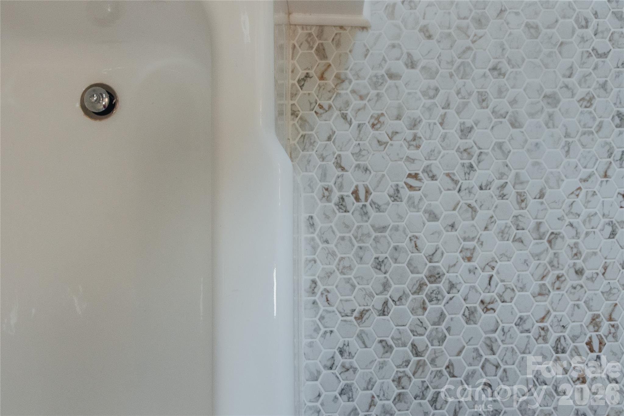 346 Park Avenue Property Photo 47