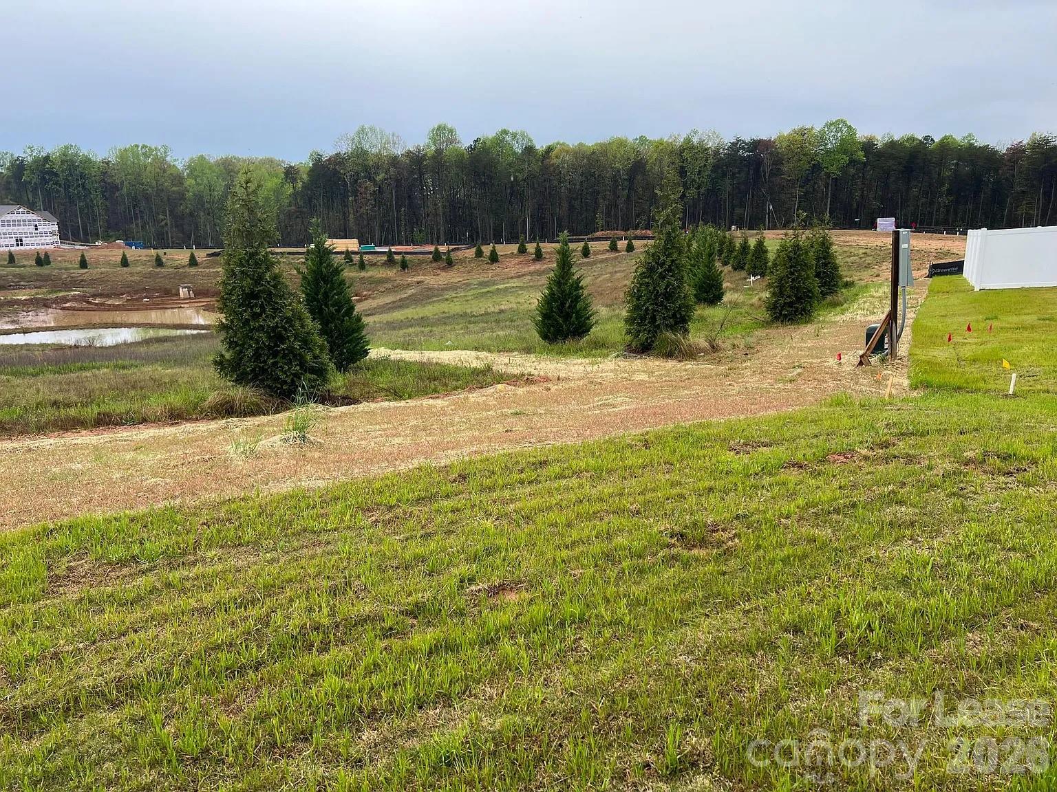 7899 Iron Road Property Photo 12