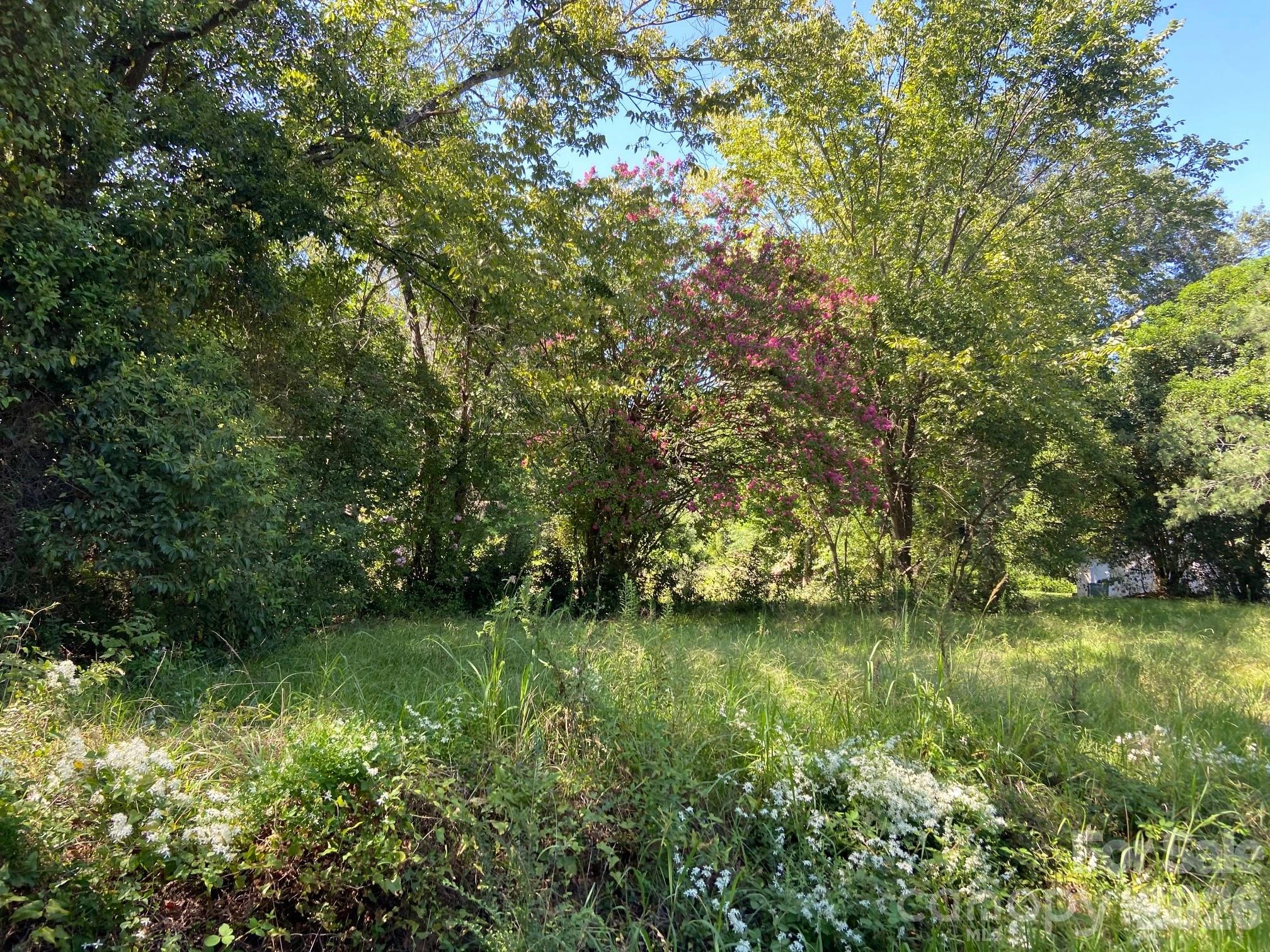 145 Neely Store Road Property Photo 1