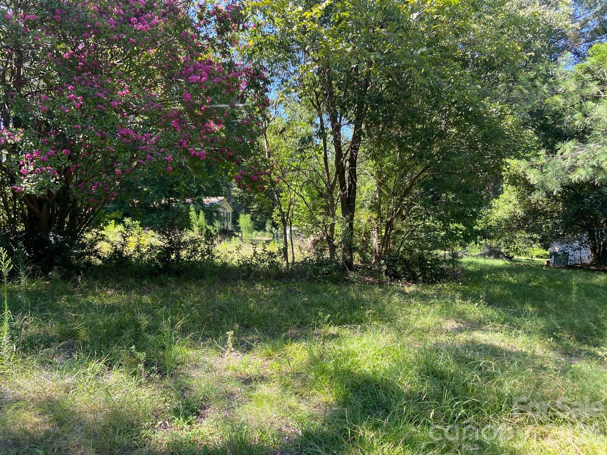 145 Neely Store Road Property Photo 5