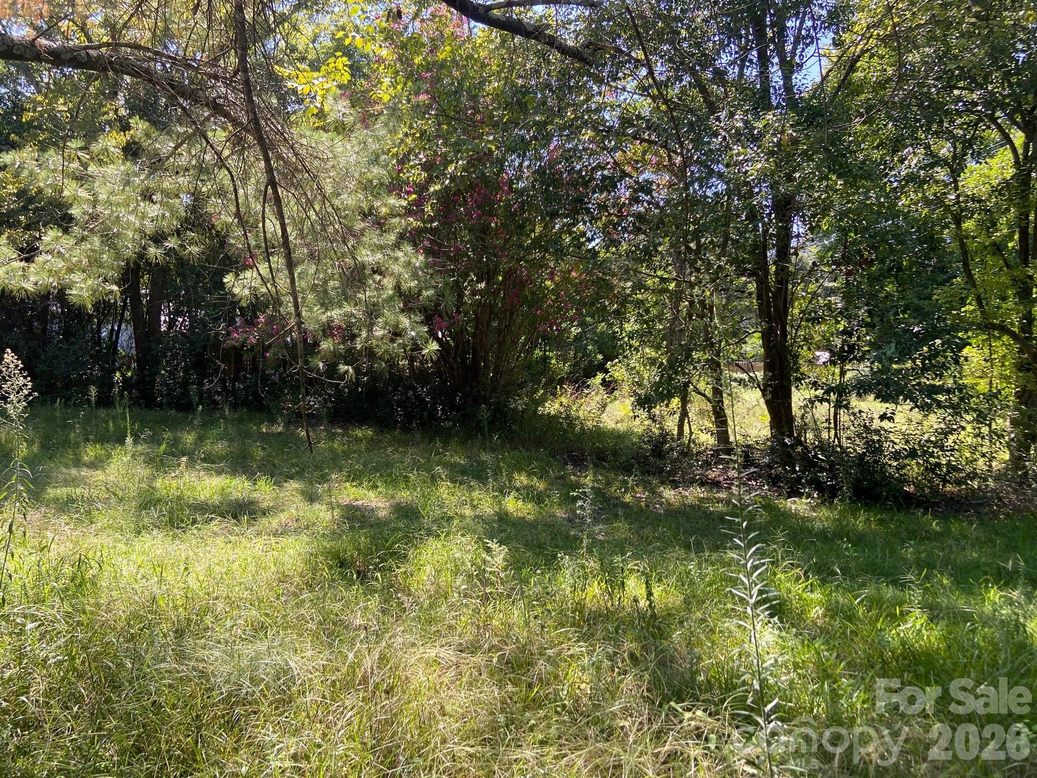 145 Neely Store Road Property Photo 8