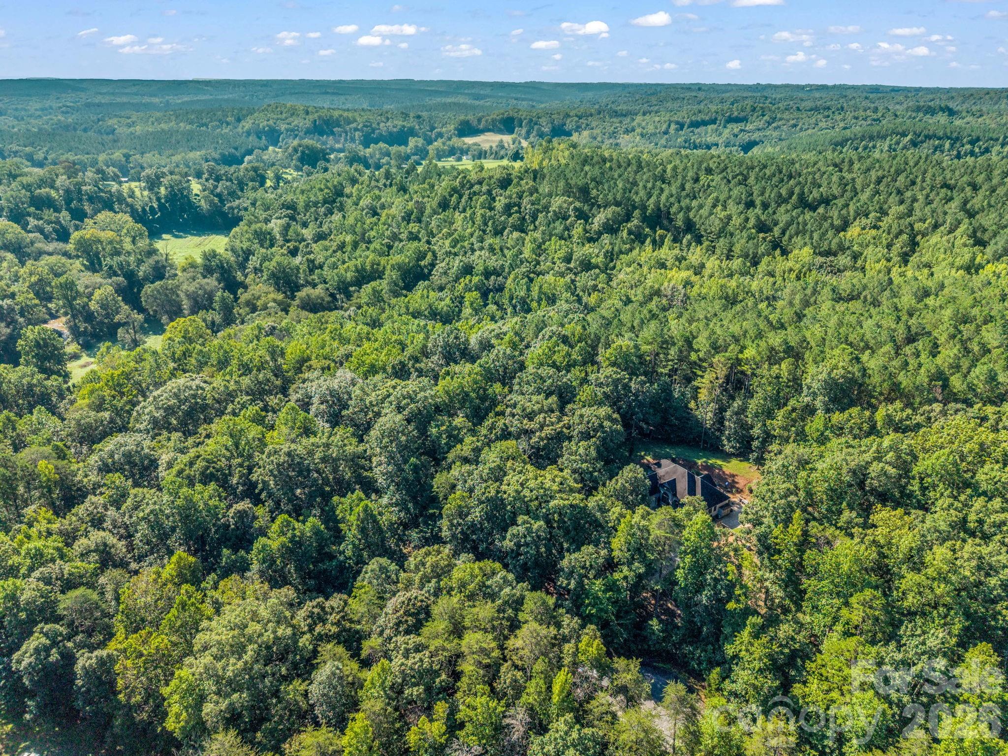 000 Rambling Creek Road Property Photo 4