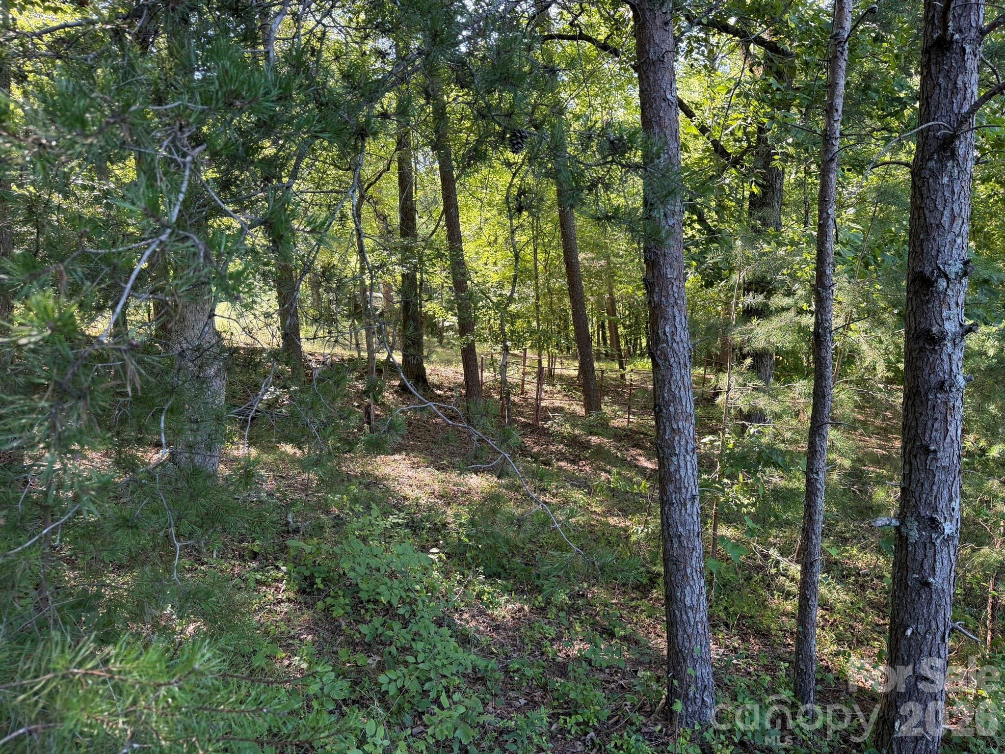 0 Liles Lane Property Photo 15