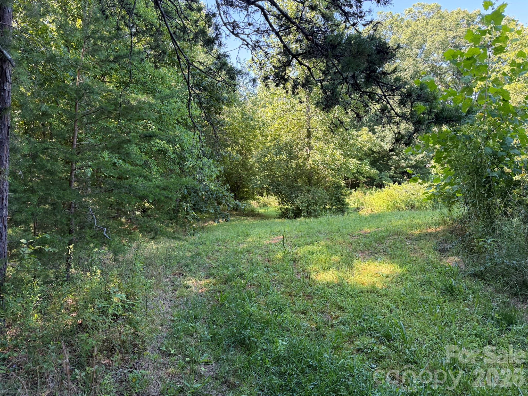 0 Liles Lane Property Photo 16