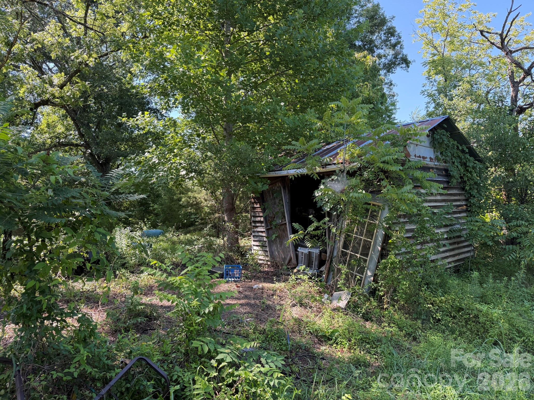 0 Liles Lane Property Photo 17