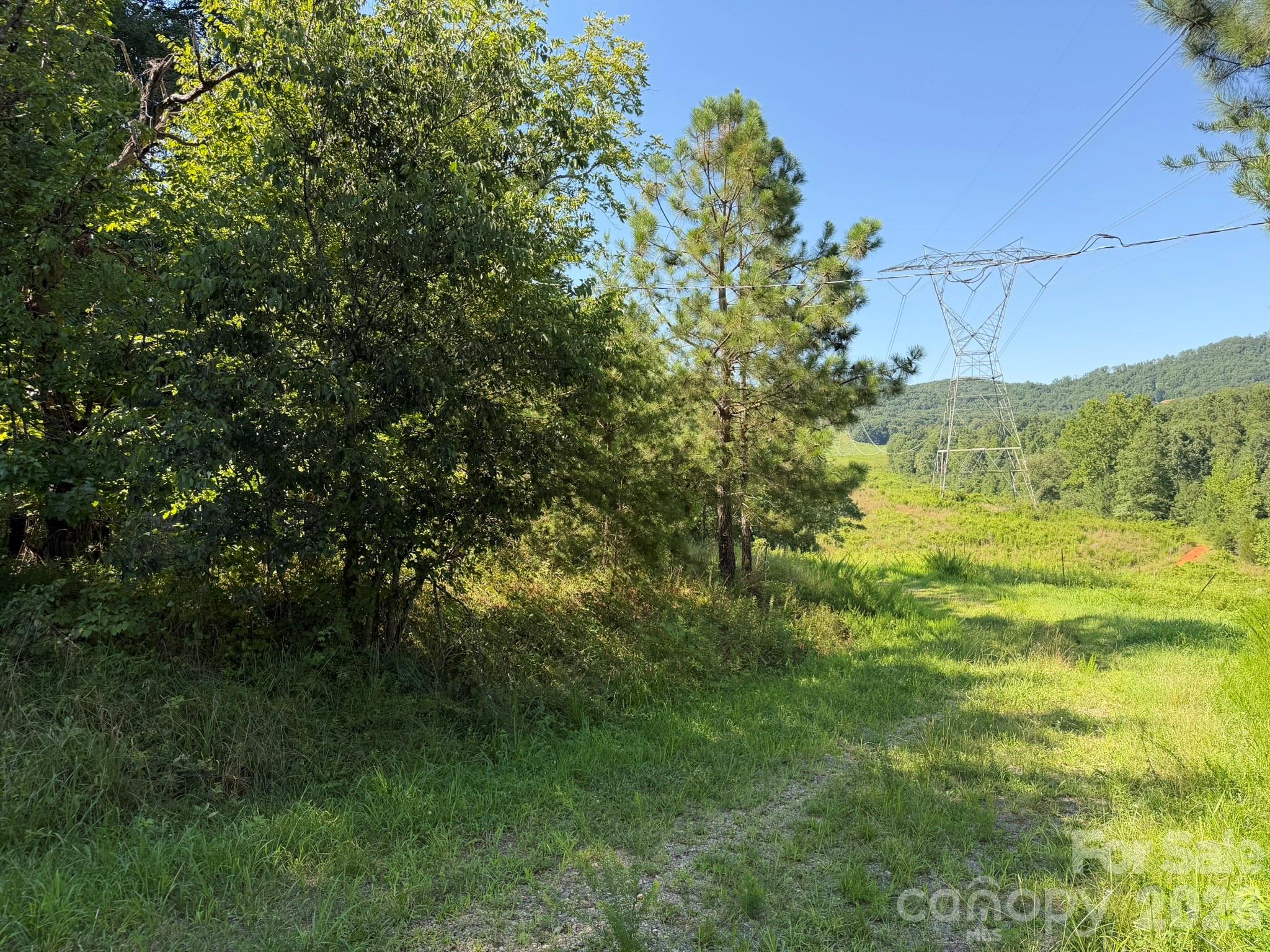 0 Liles Lane Property Photo 19