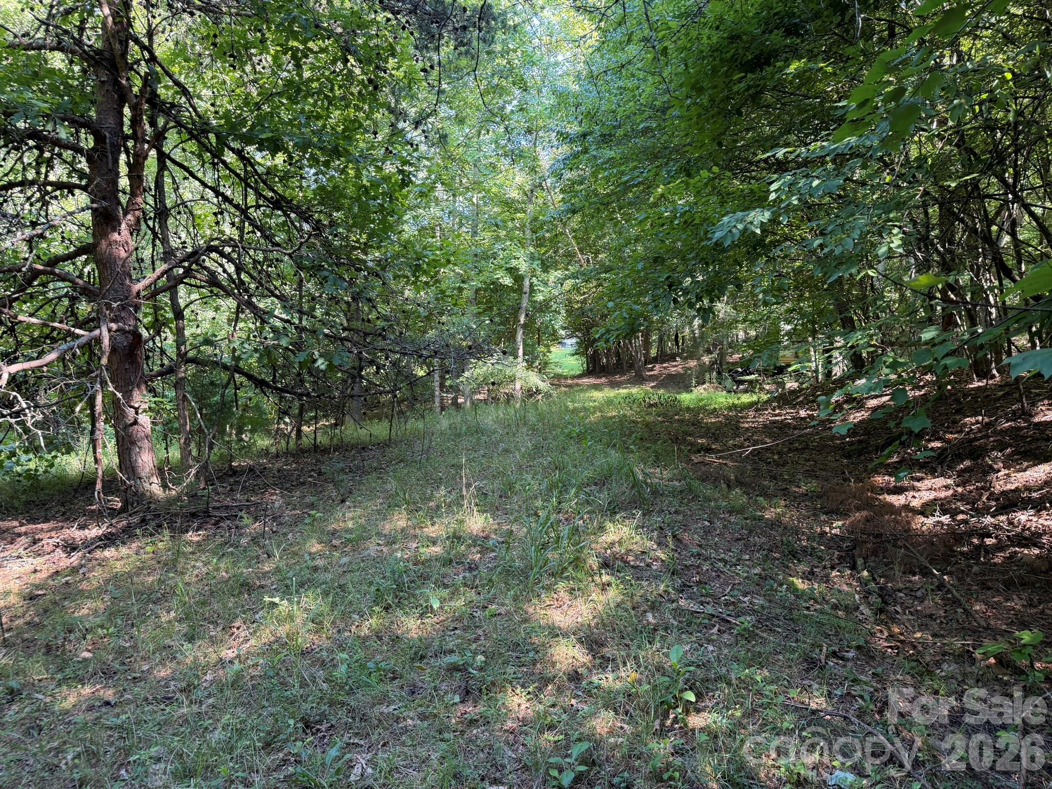 0 Liles Lane Property Photo 24
