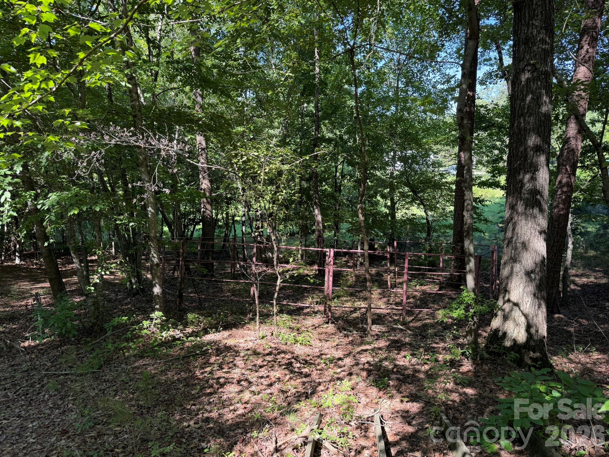 0 Liles Lane Property Photo 33