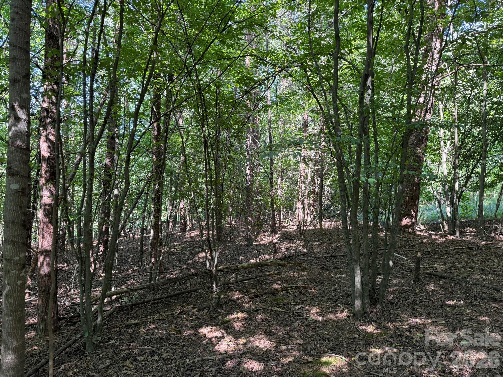 0 Liles Lane Property Photo 38