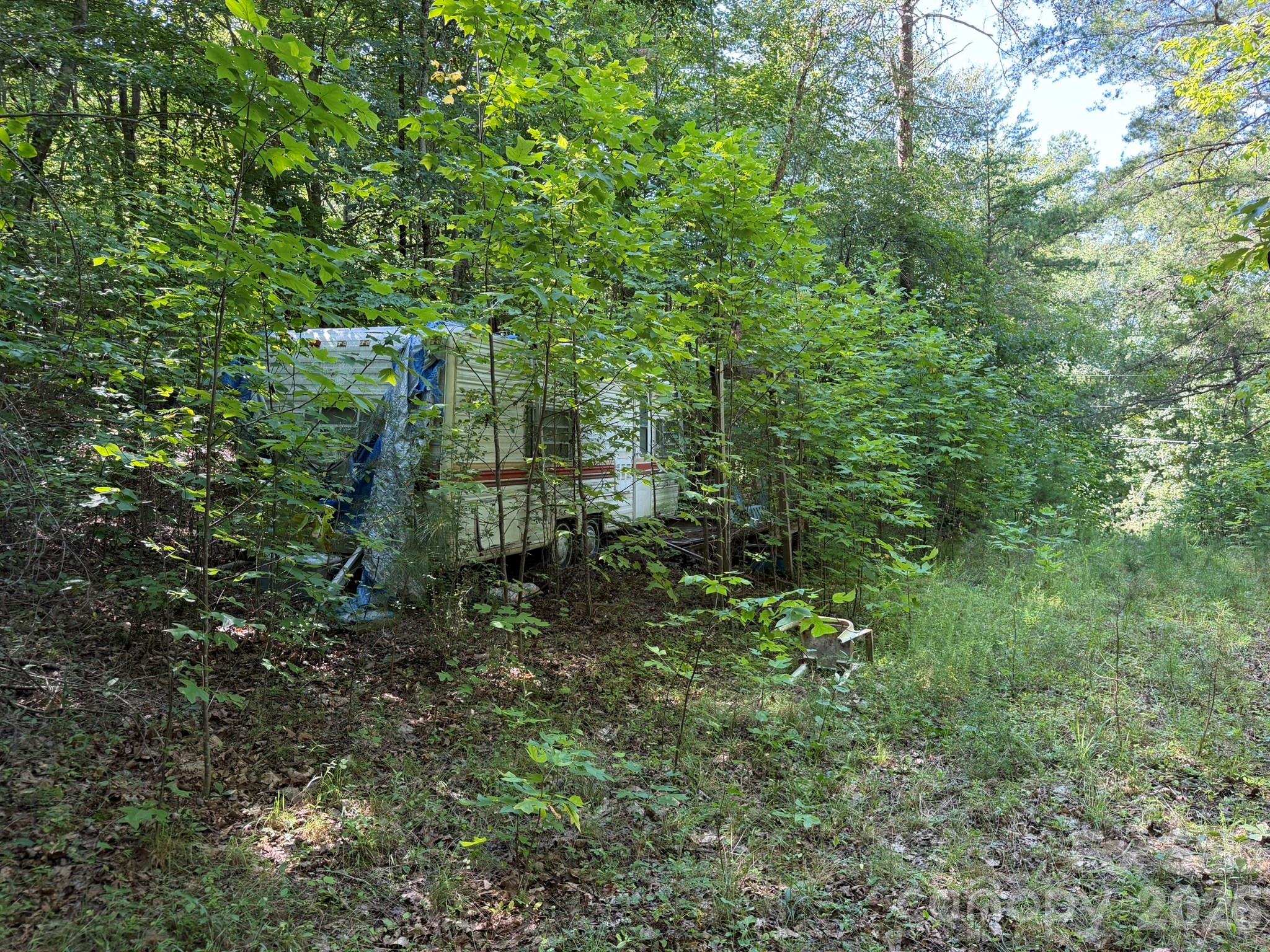0 Liles Lane Property Photo 41